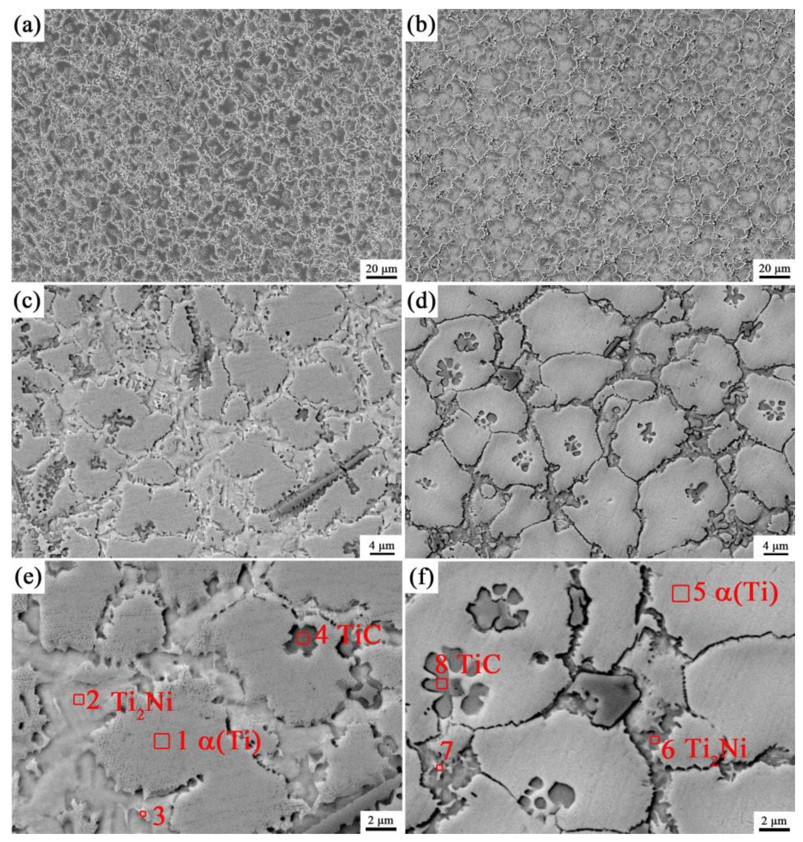 Coatings 13 00105 g003