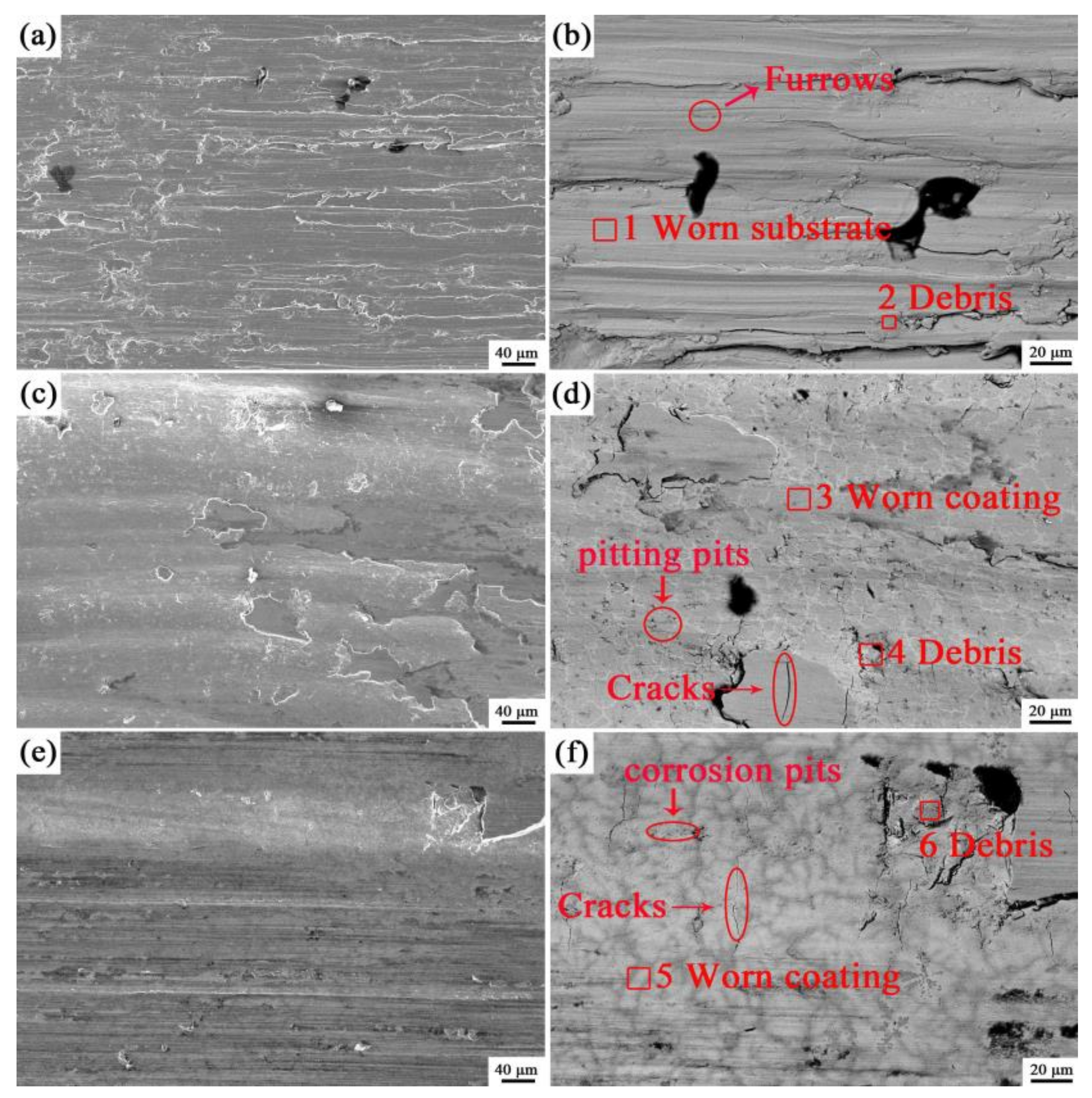 Coatings 13 00105 g012
