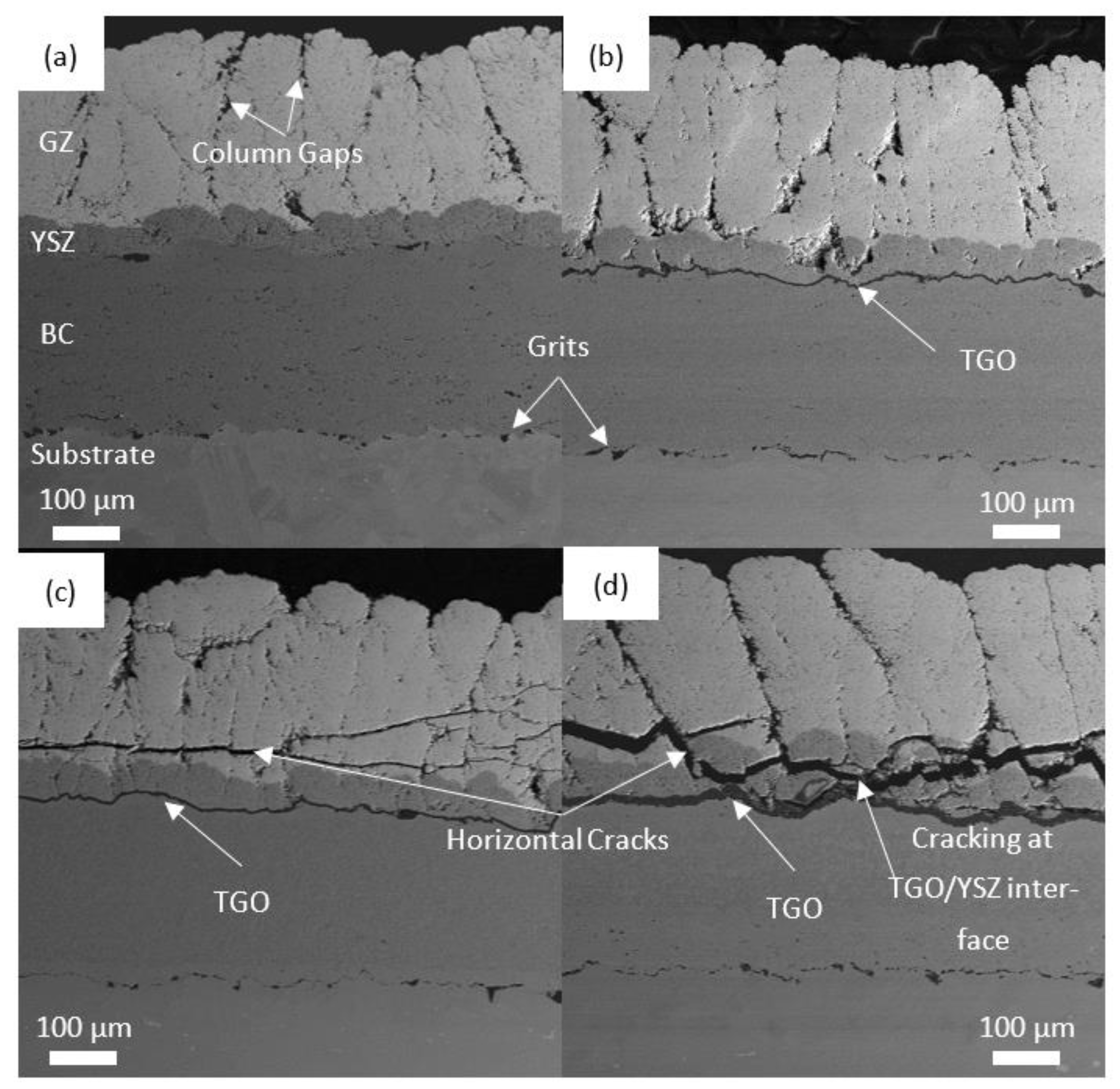 Coatings 13 00107 g002
