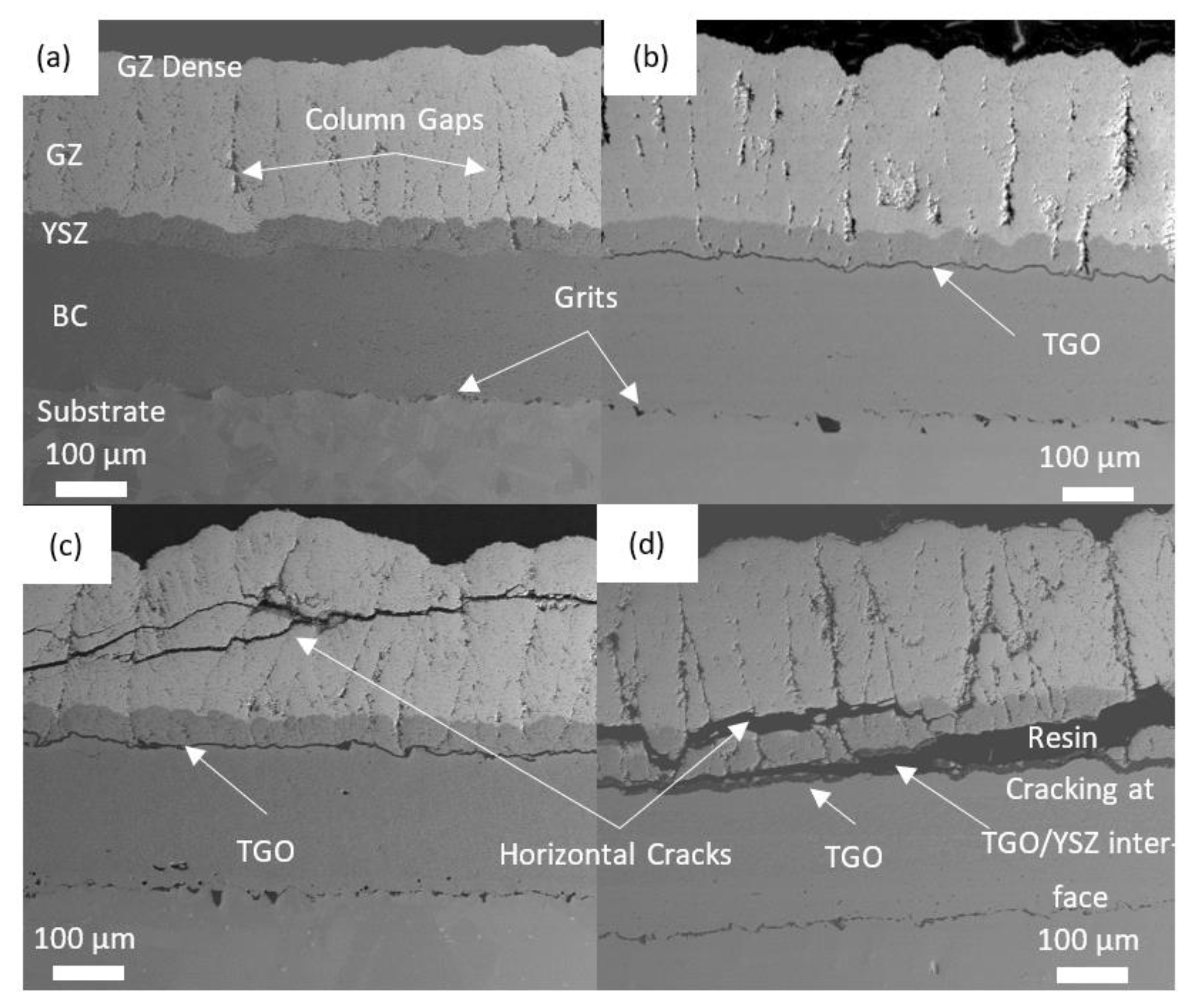 Coatings 13 00107 g004