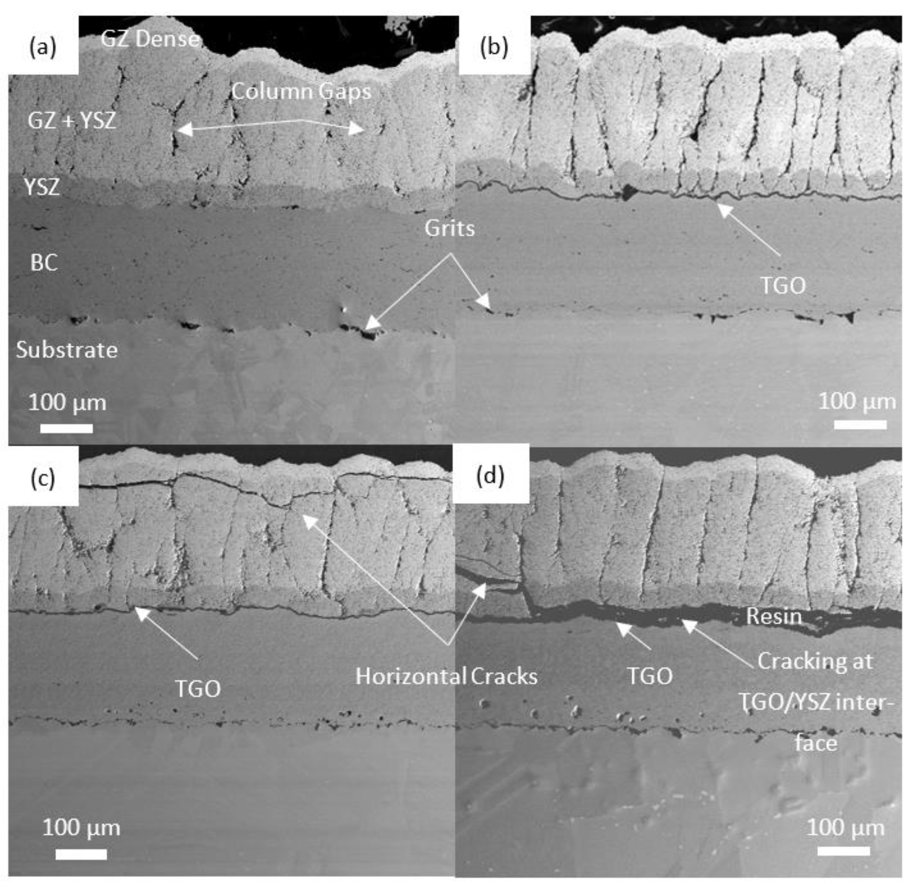 Coatings 13 00107 g005