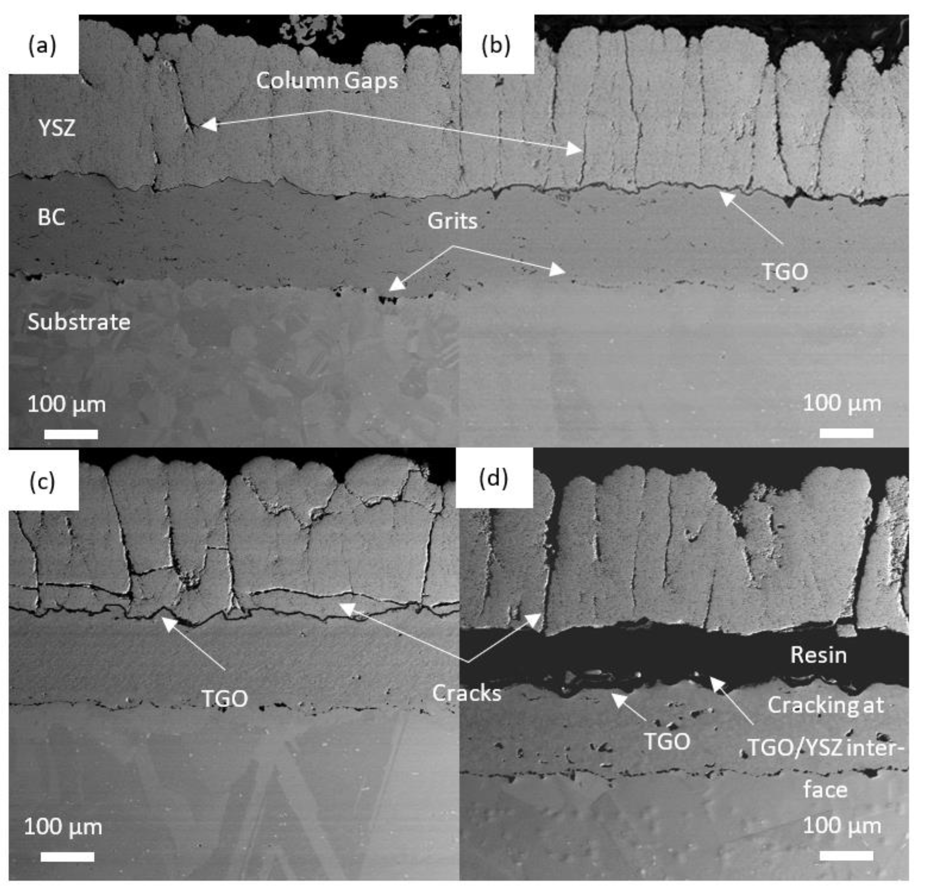 Coatings 13 00107 g006