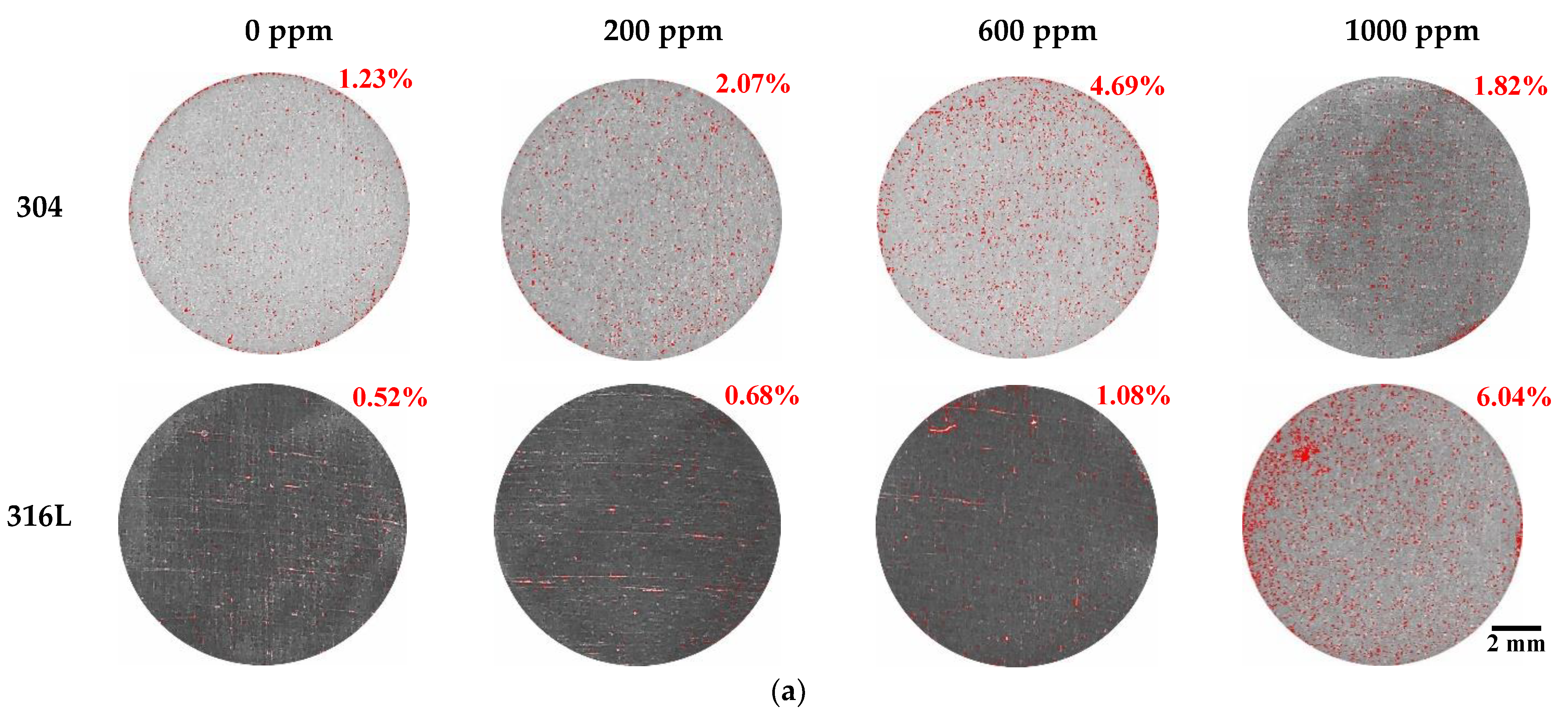 Coatings 13 00109 g006a