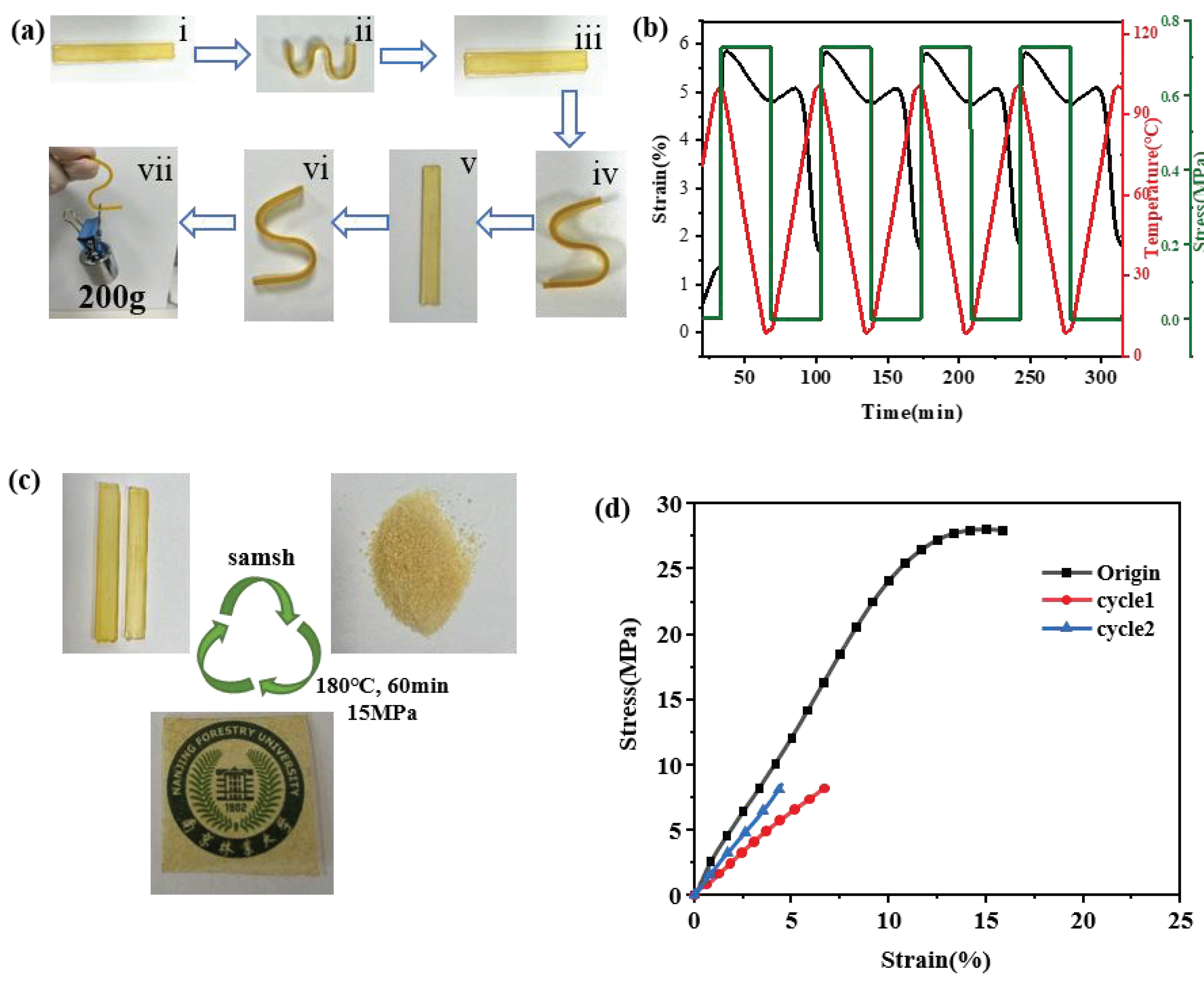 Coatings 13 00110 g006 Coatings 13 00110 g006