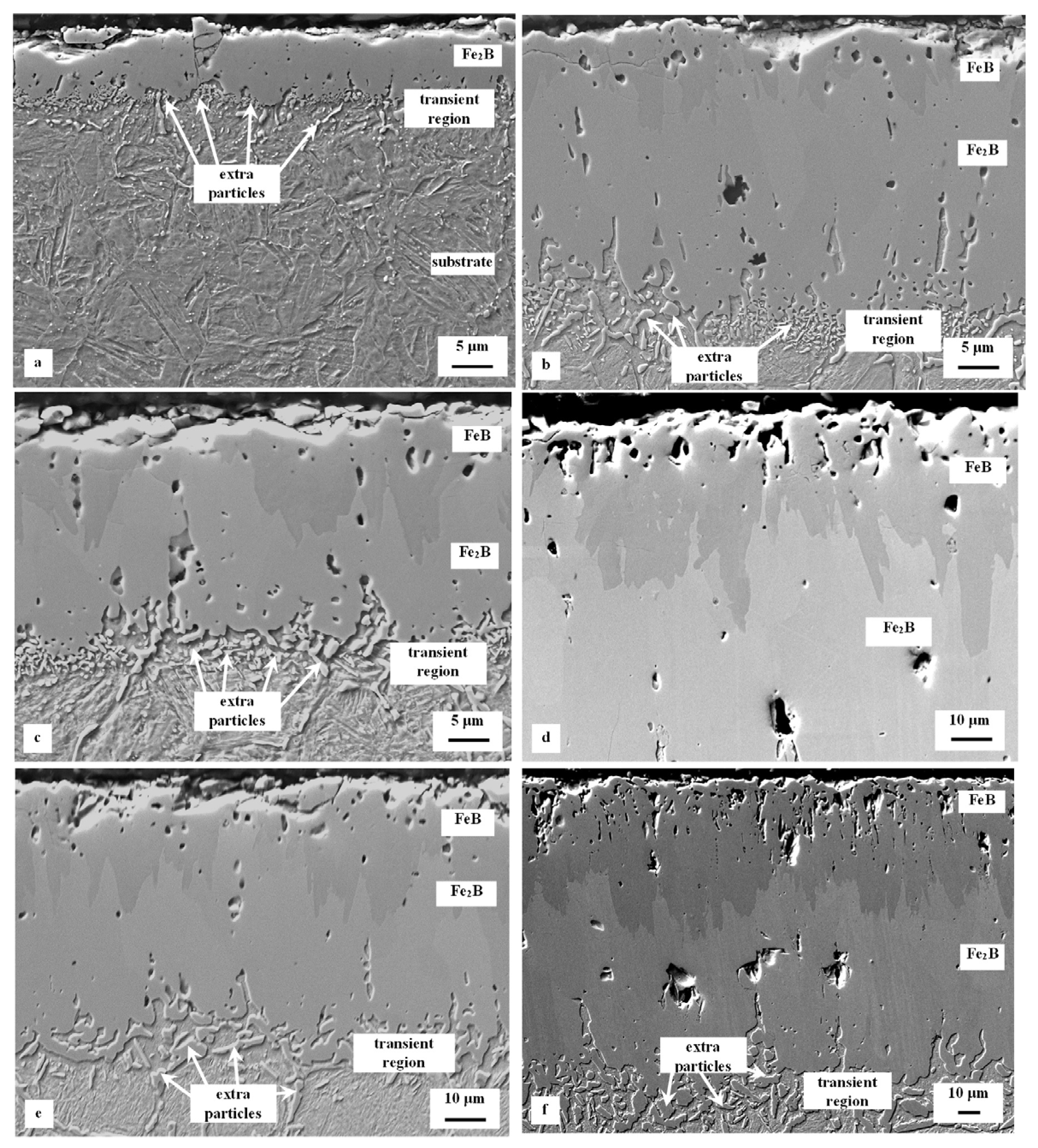Coatings 13 00113 g003 Coatings 13 00113 g003