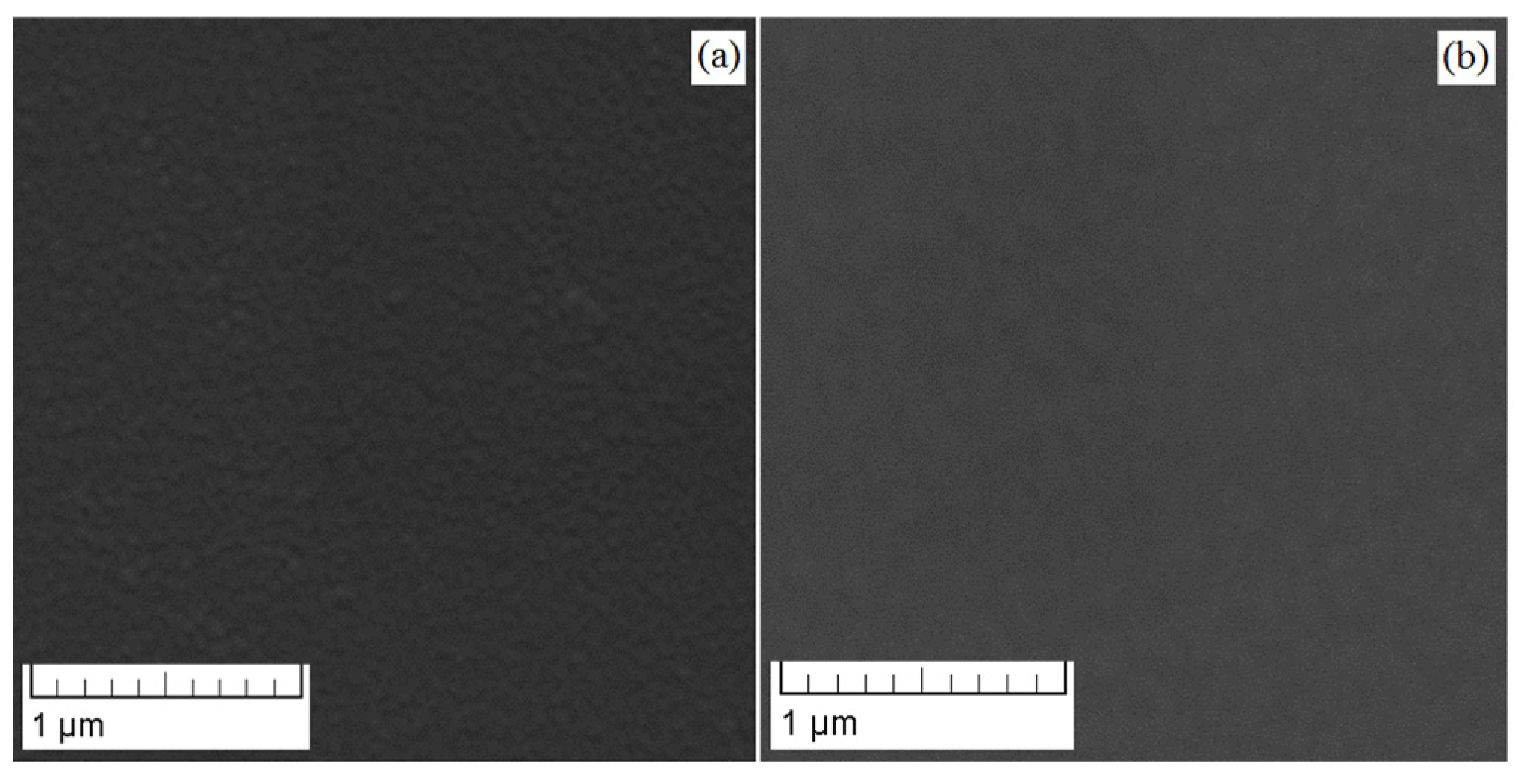 Coatings 13 00114 g003