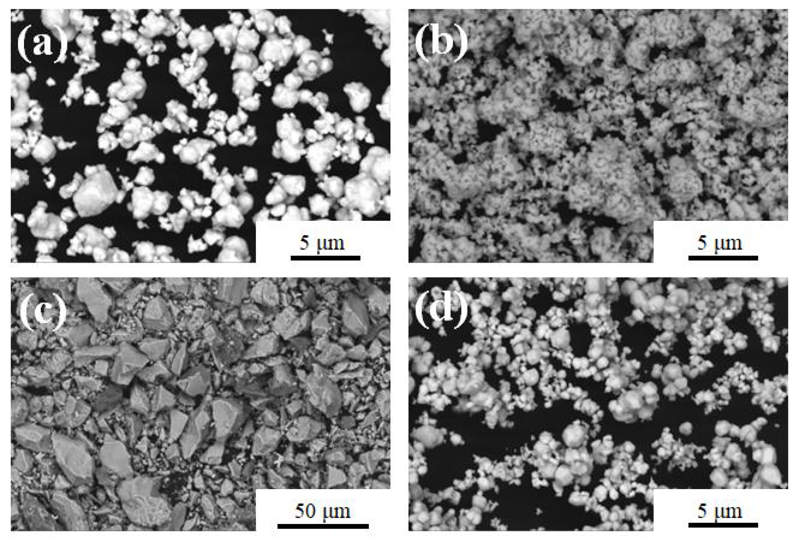Coatings 13 00116 g001