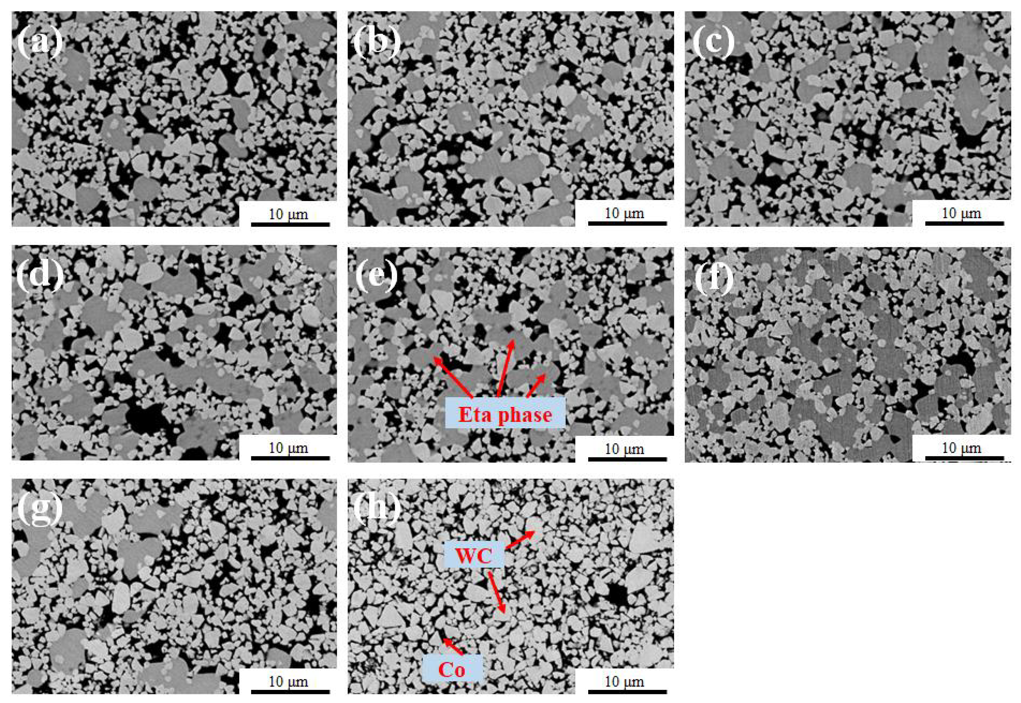 Coatings 13 00116 g004