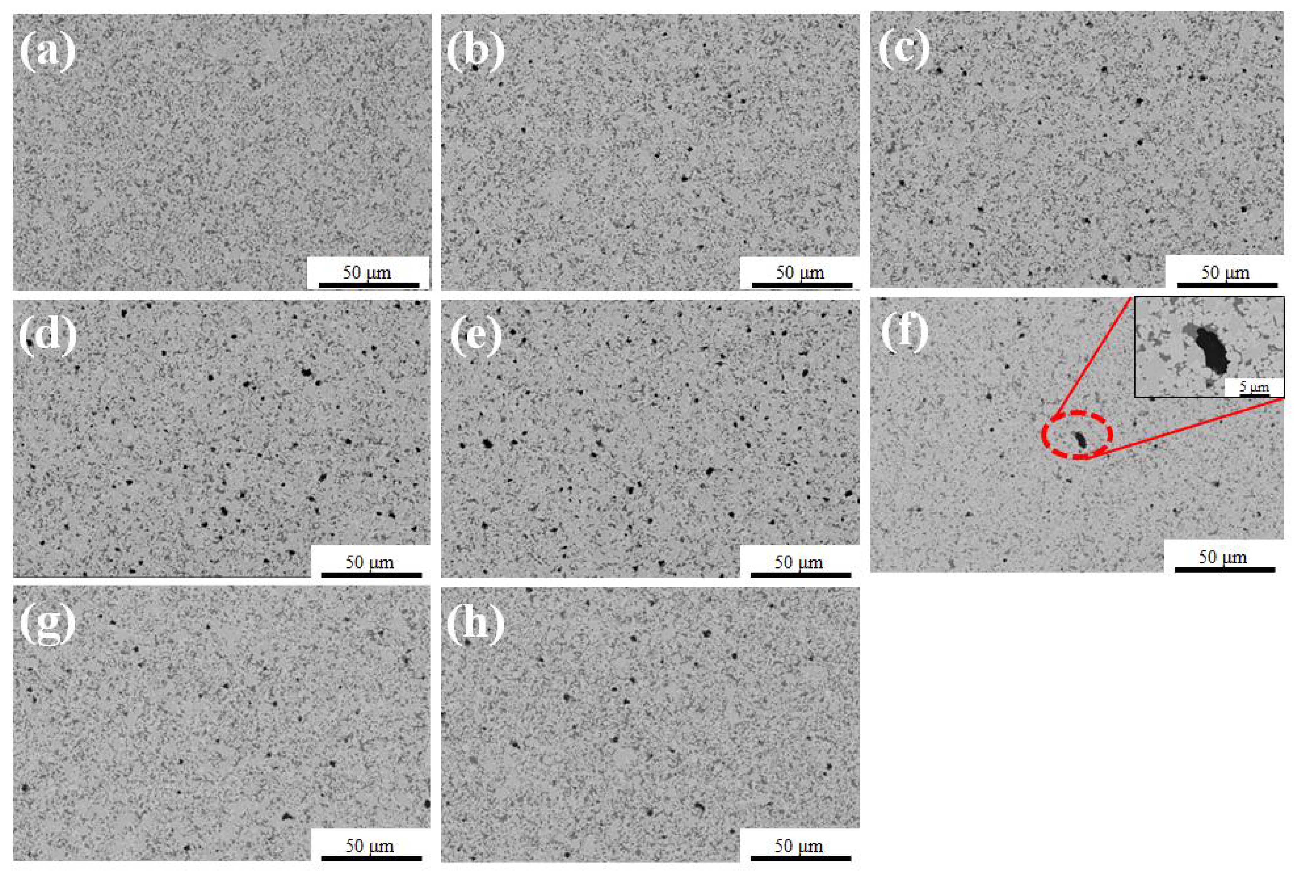 Coatings 13 00116 g011