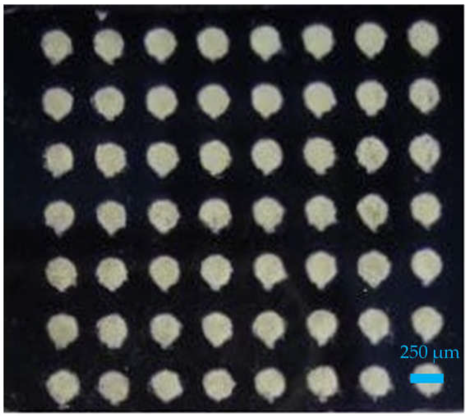 Coatings 13 00117 g001