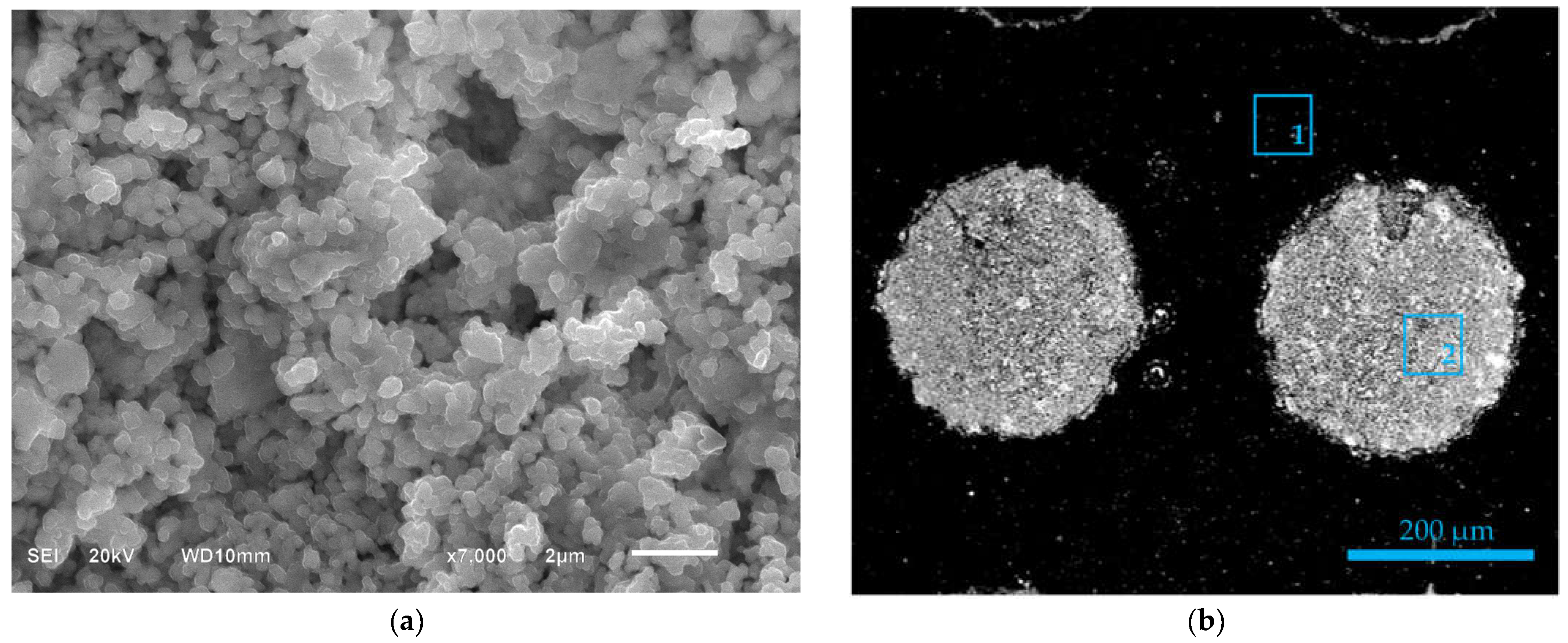 Coatings 13 00117 g004