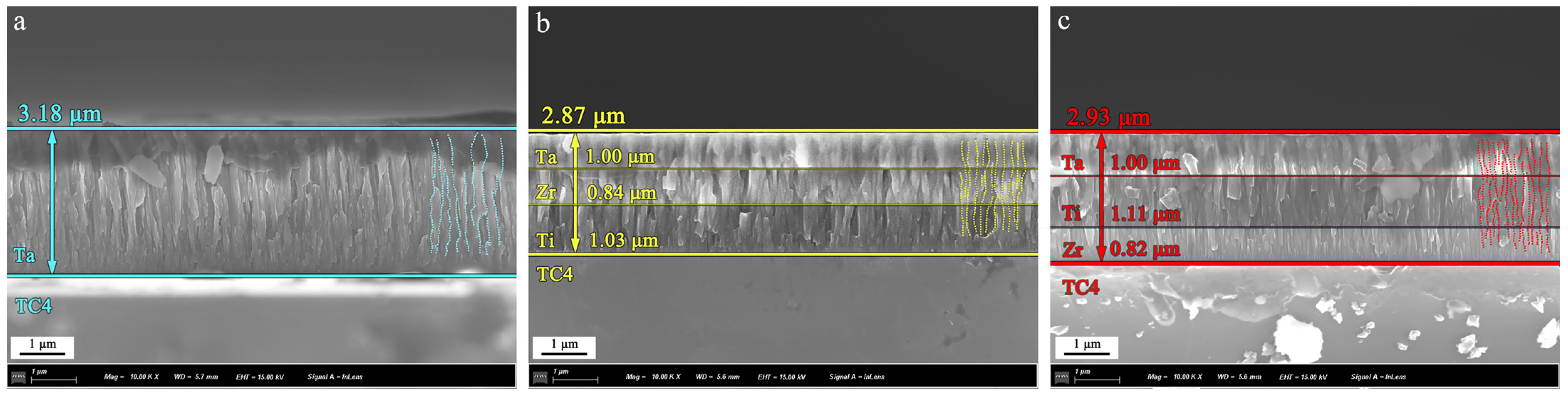 Coatings 13 00120 g002