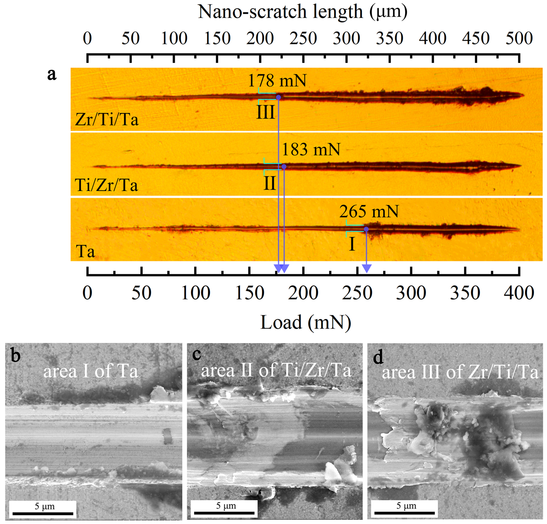 Coatings 13 00120 g003