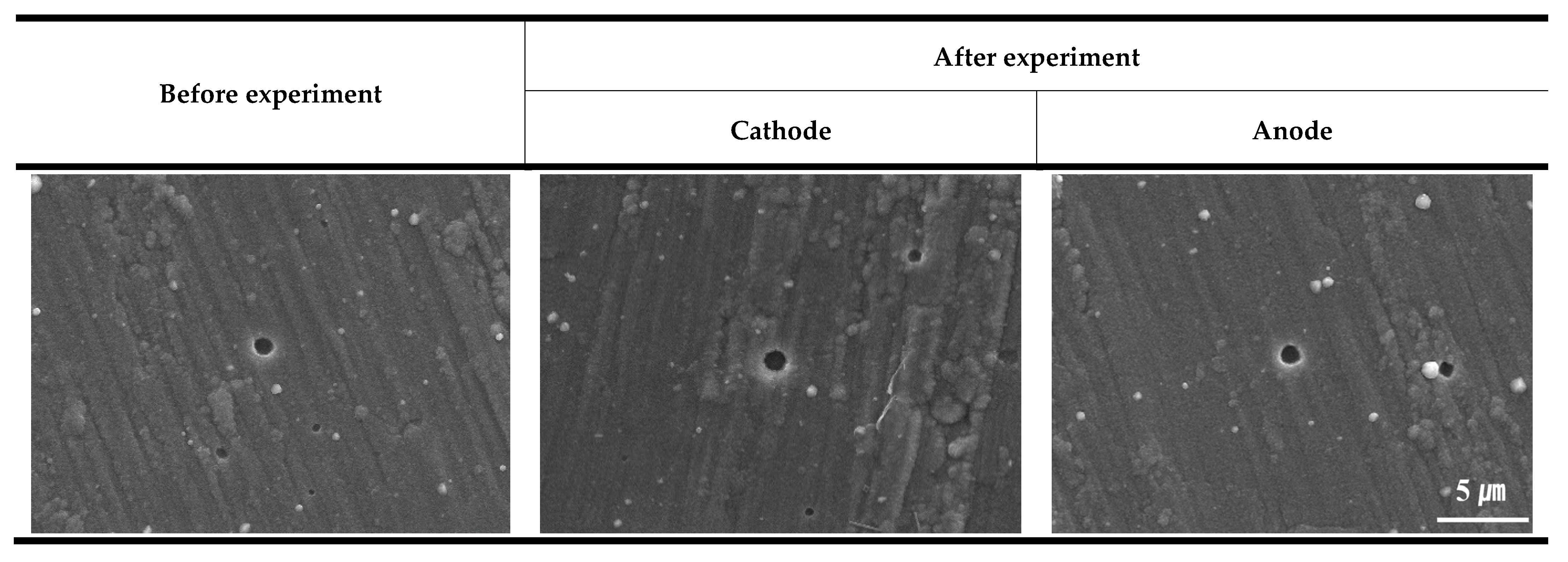 Coatings 13 00123 g006