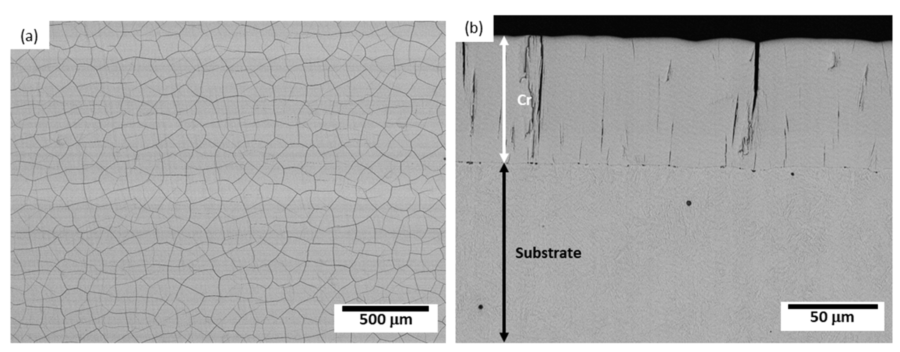 Coatings 13 00124 g001