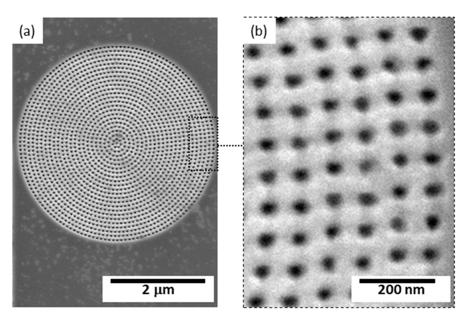 Coatings 13 00124 g004