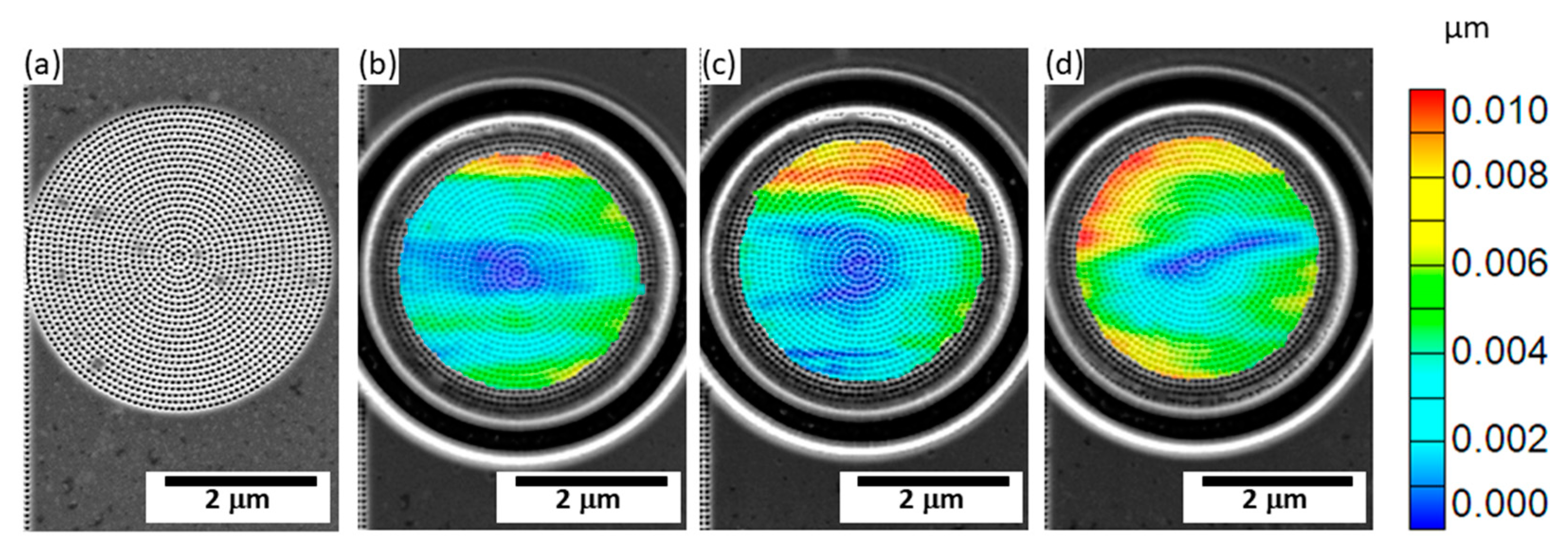 Coatings 13 00124 g009