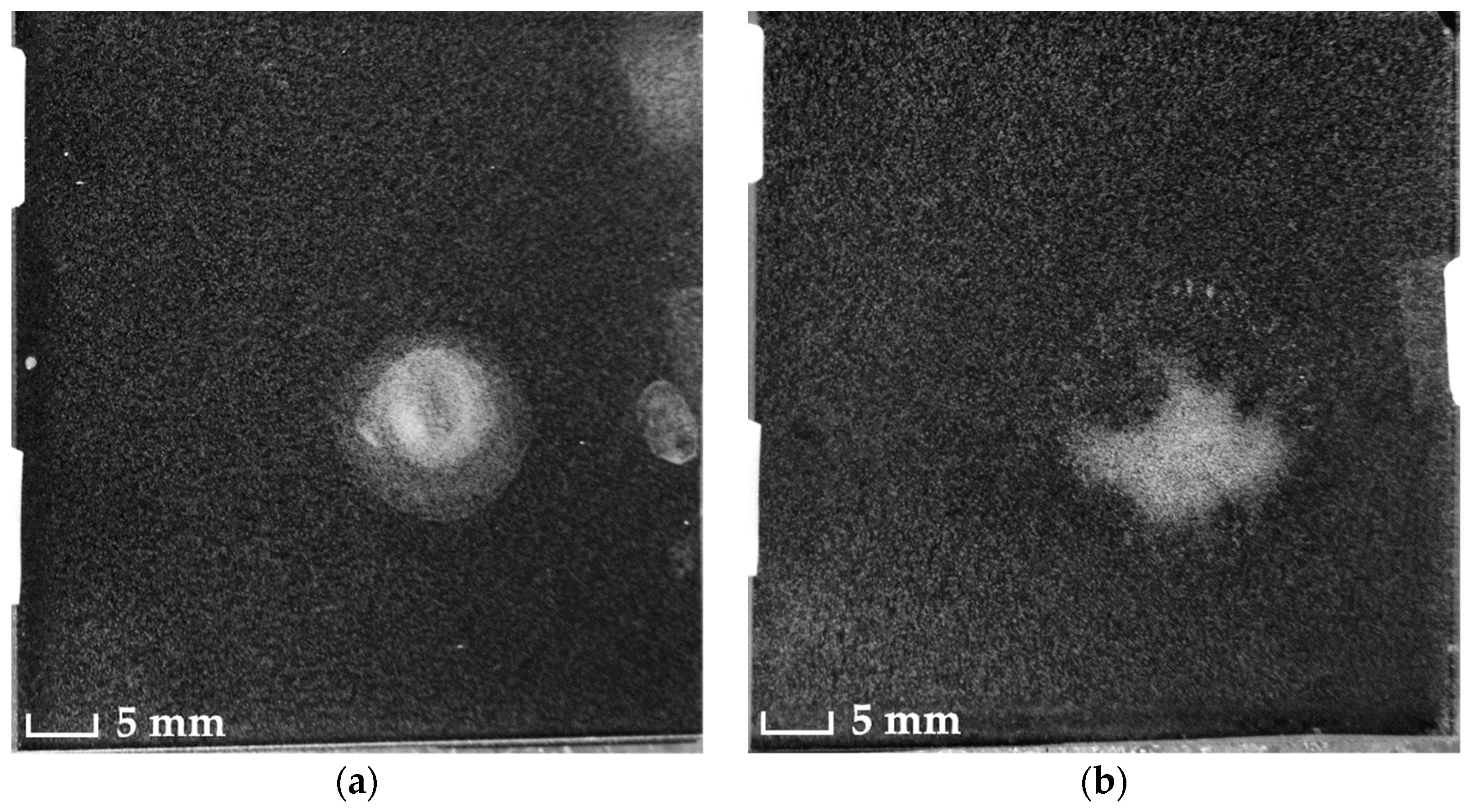 Coatings 13 00129 g010 Coatings 13 00129 g010
