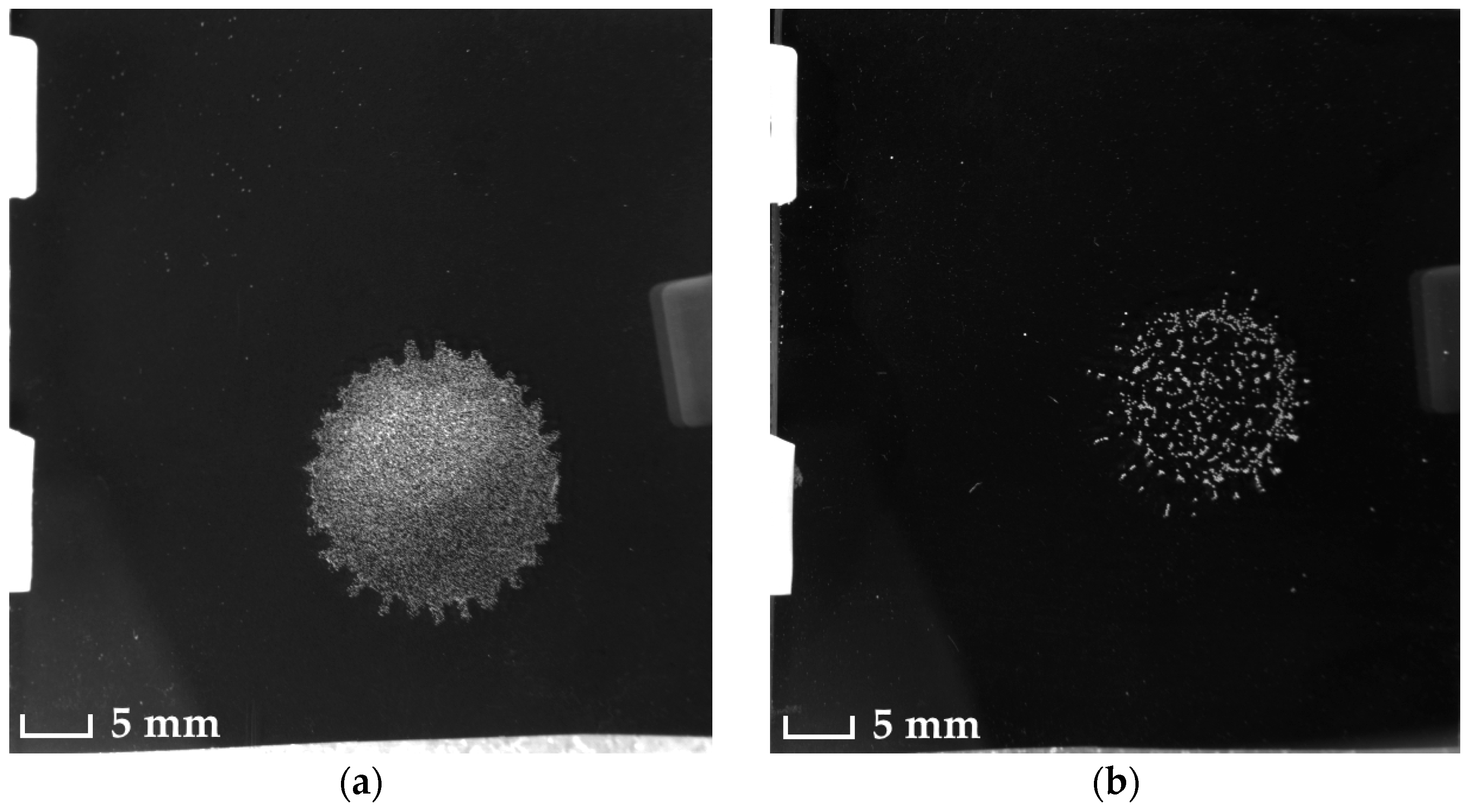 Coatings 13 00129 g011 Coatings 13 00129 g011