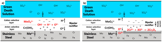 Coatings 13 00130 g004