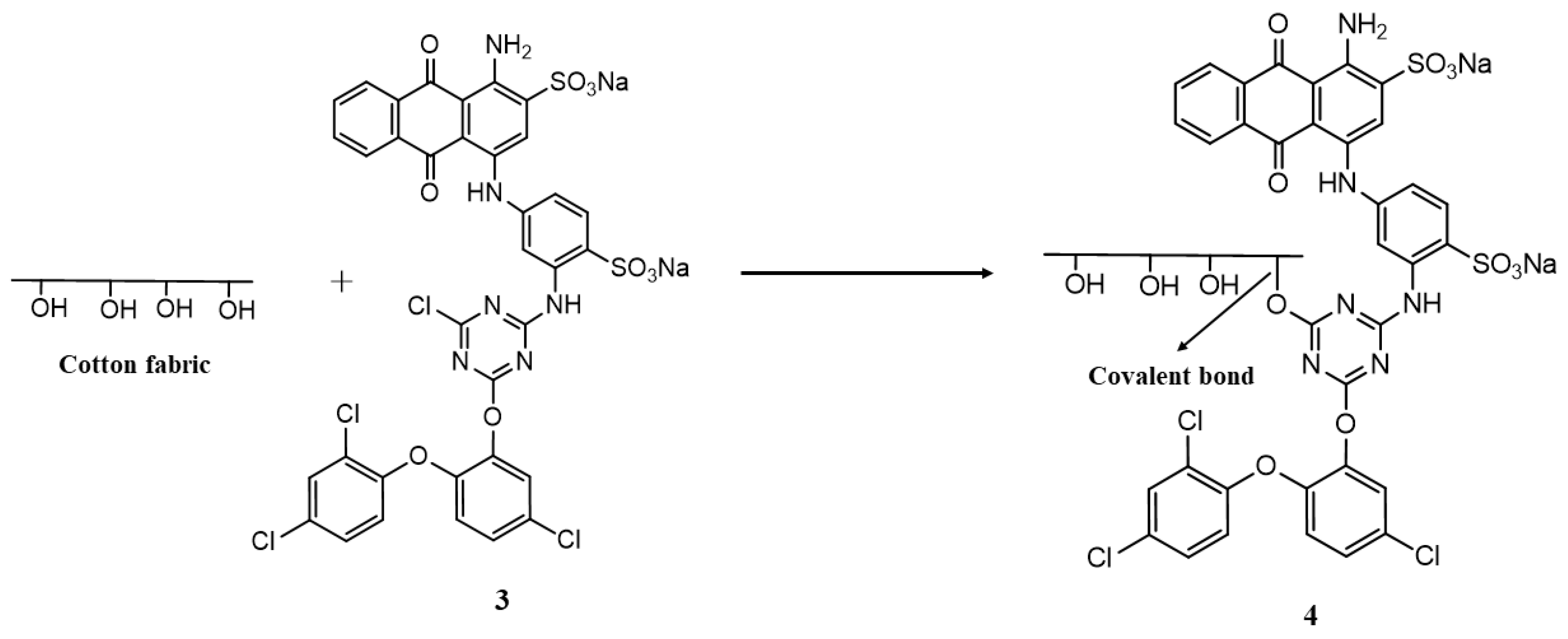 Coatings 13 00133 g002