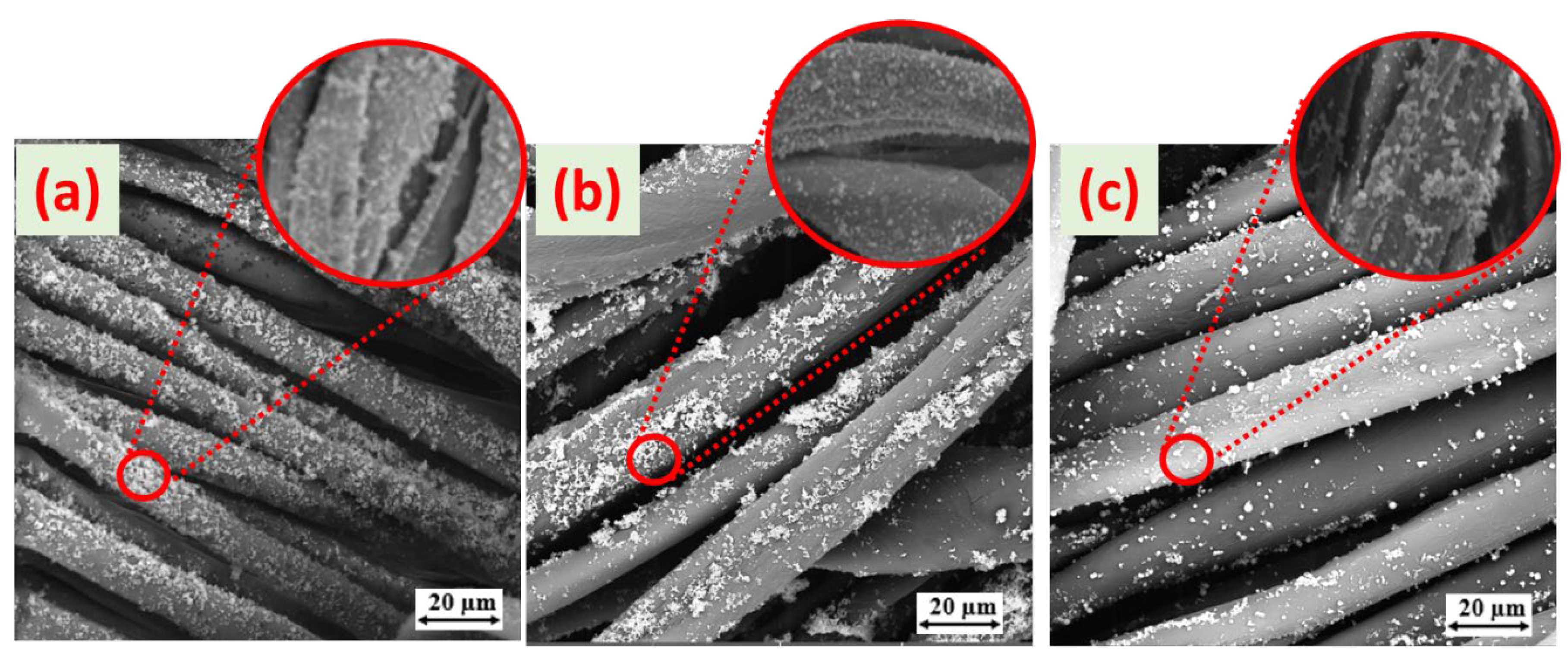 Coatings 13 00133 g007