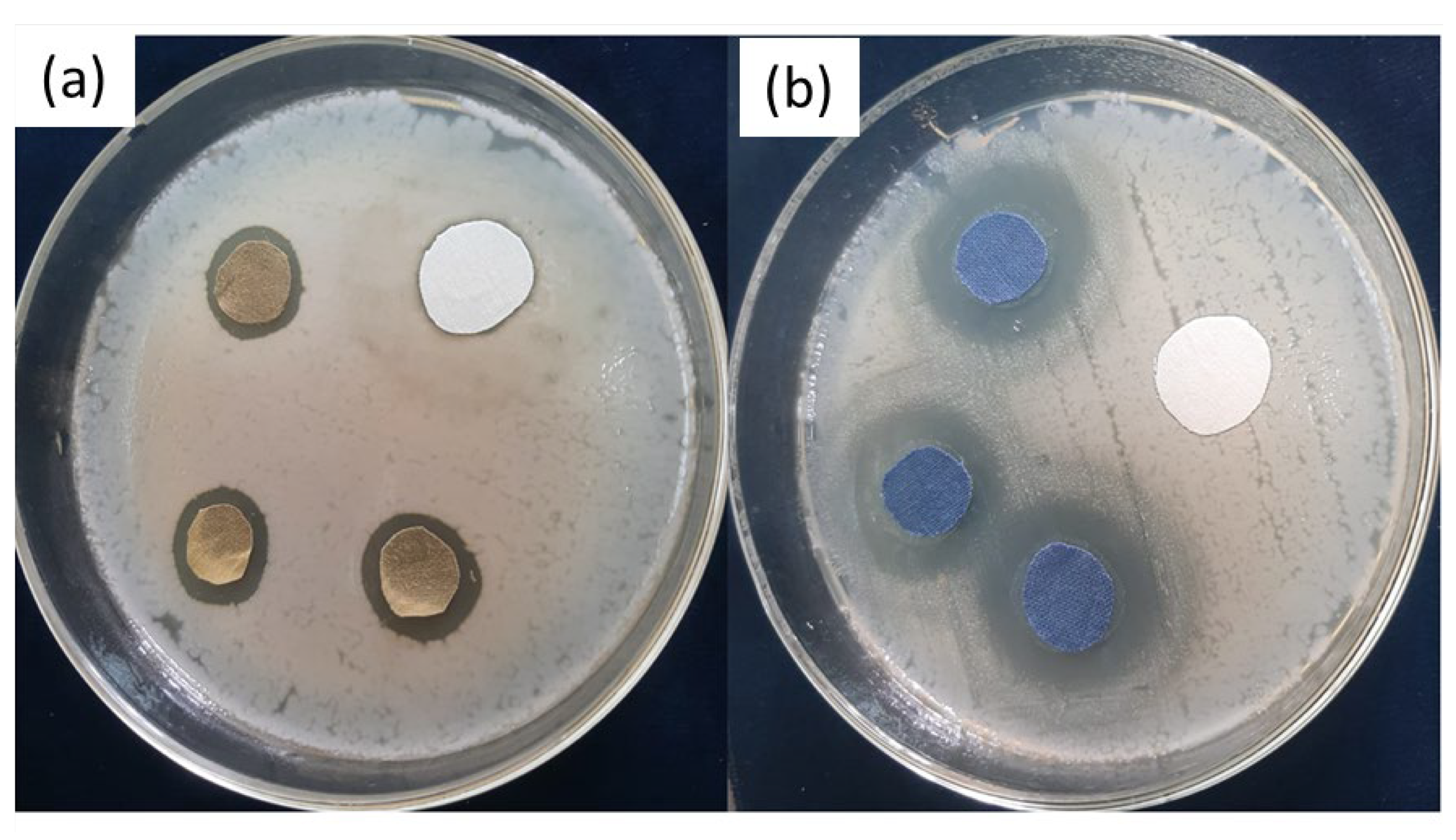 Coatings 13 00133 g009