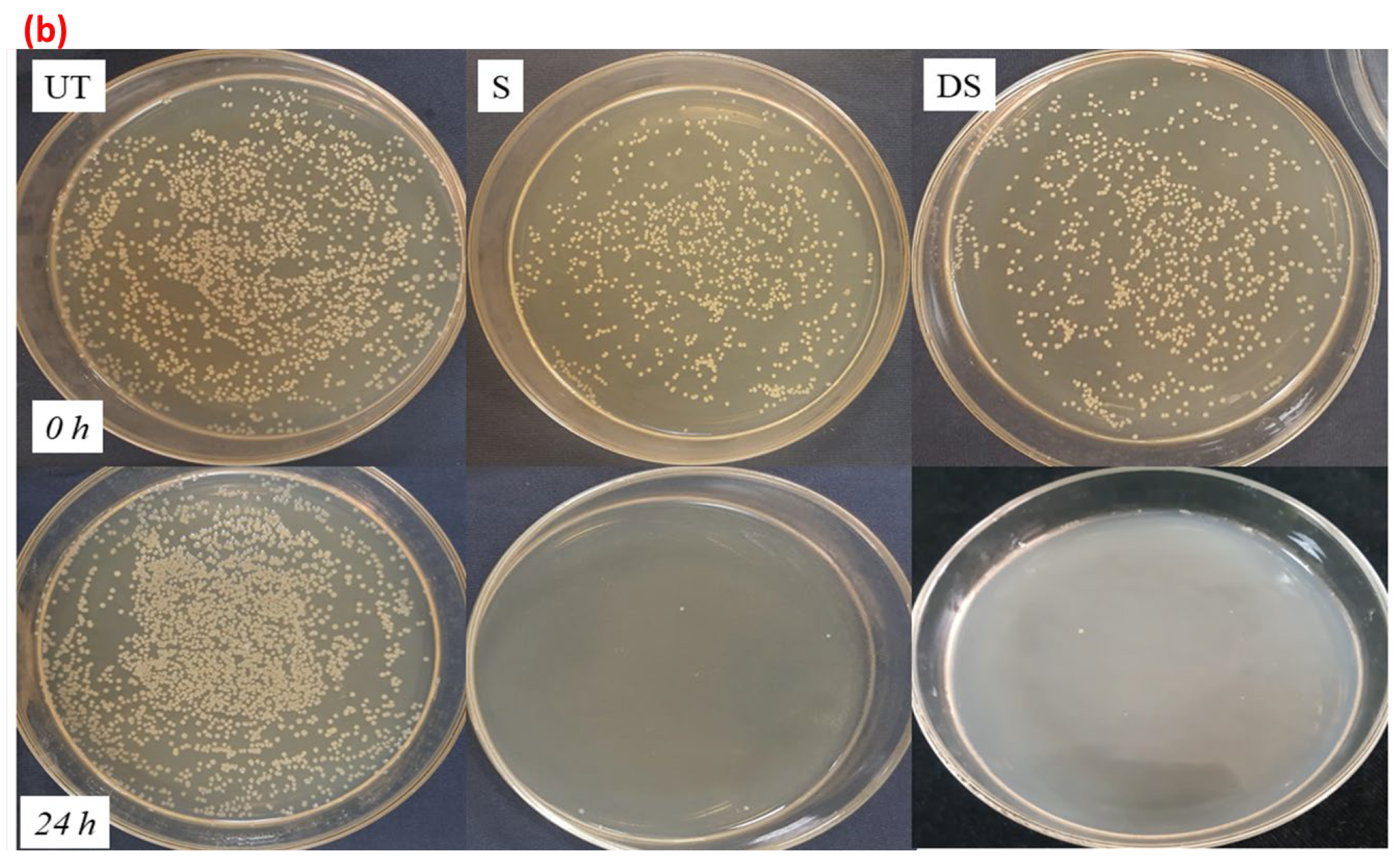 Coatings 13 00133 g012b