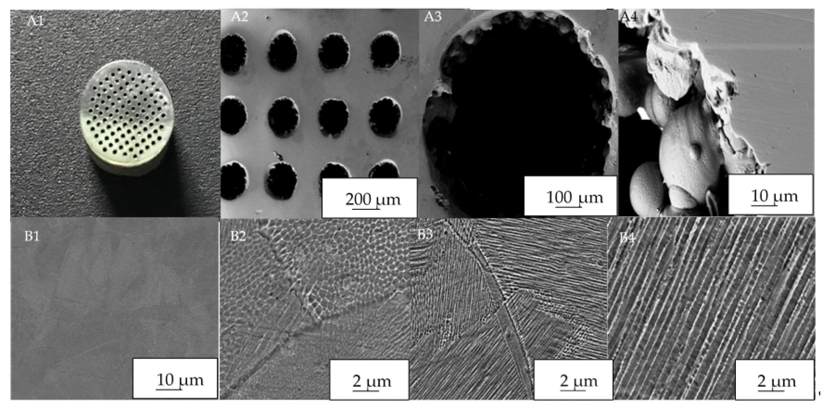 Coatings 13 00134 g009
