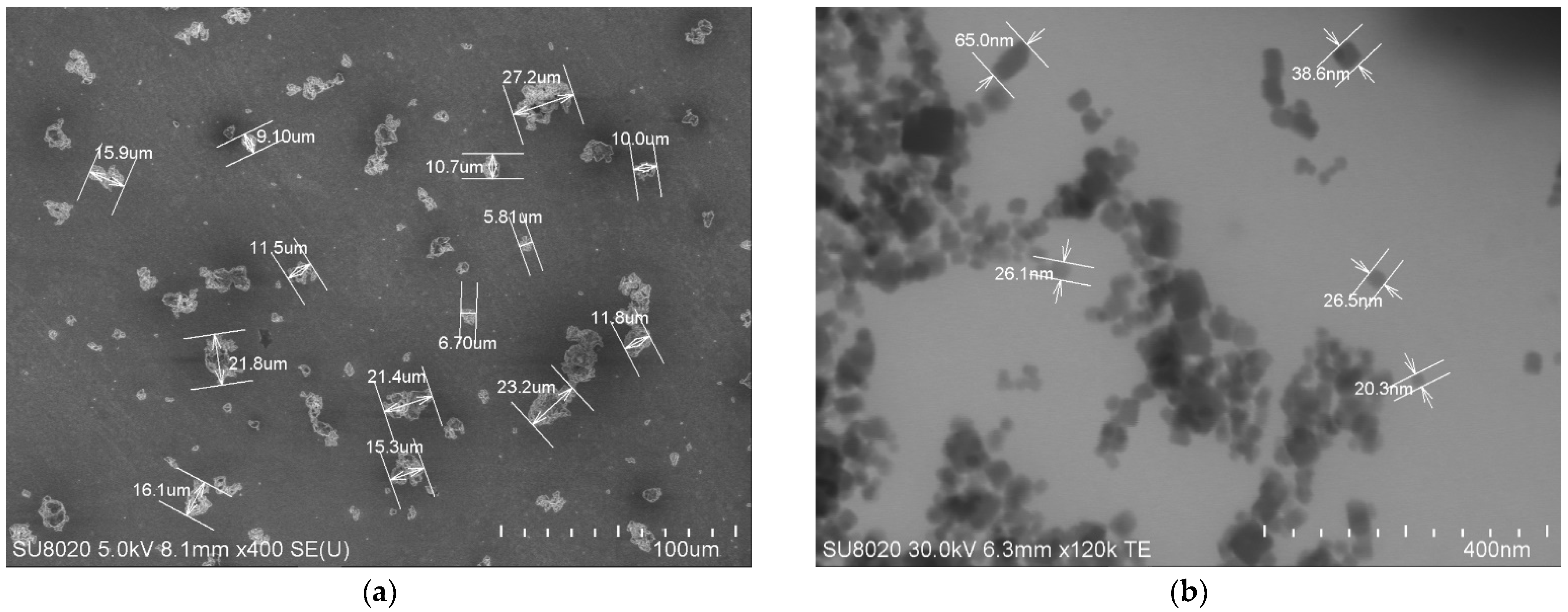 Coatings 13 00140 g001