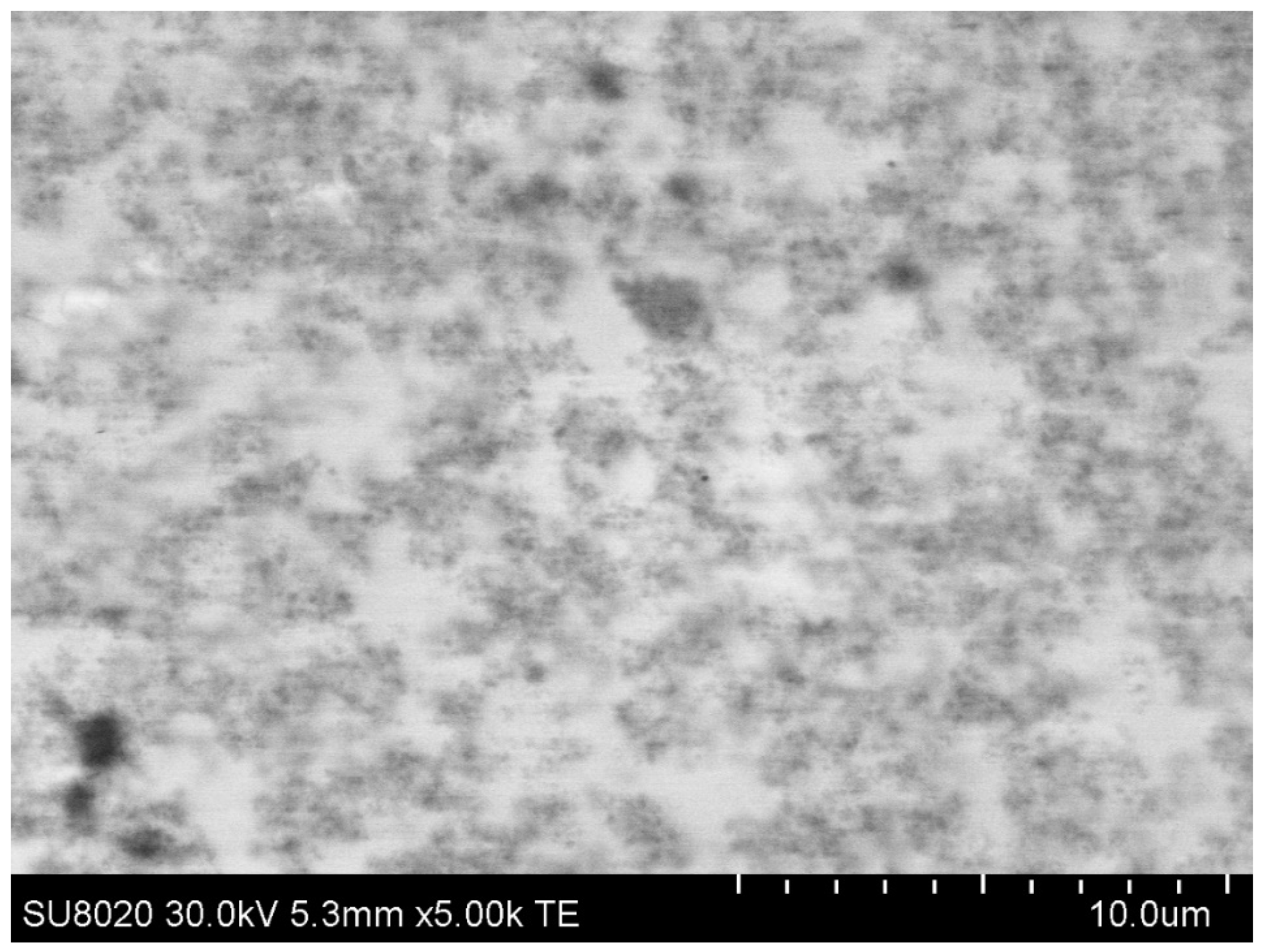 Coatings 13 00140 g007