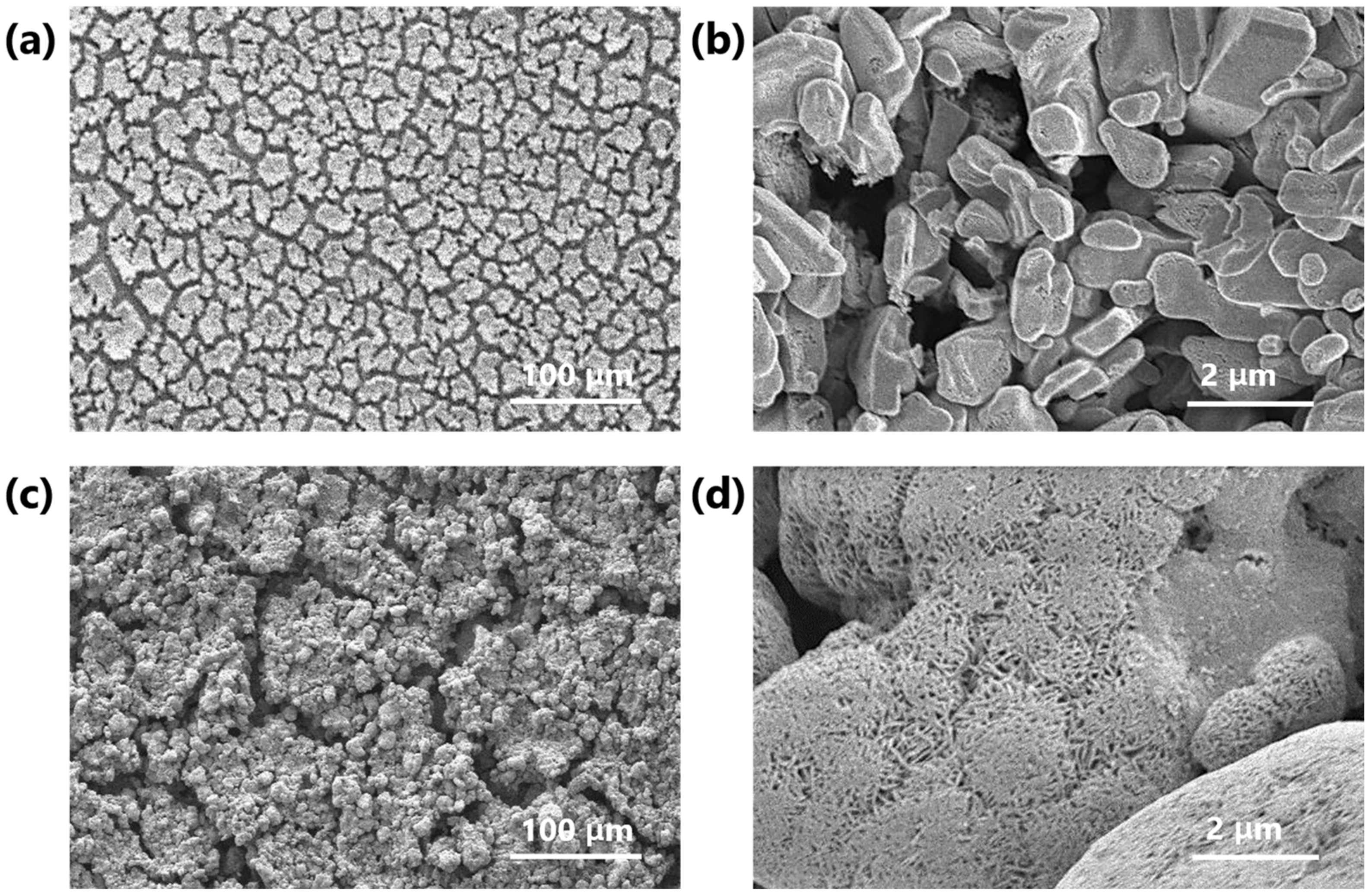 Coatings 13 00141 g003