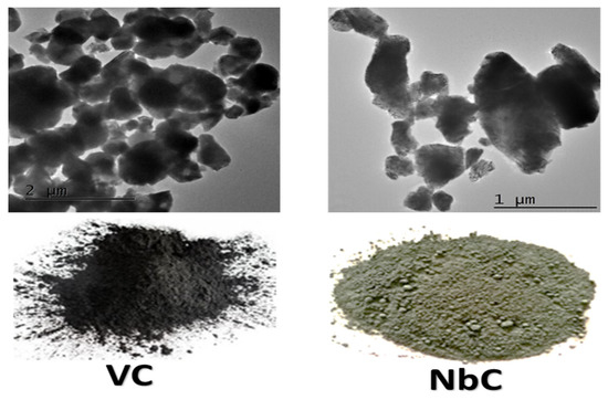 Coatings 13 00142 g001
