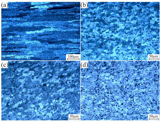 Coatings 13 00142 g003