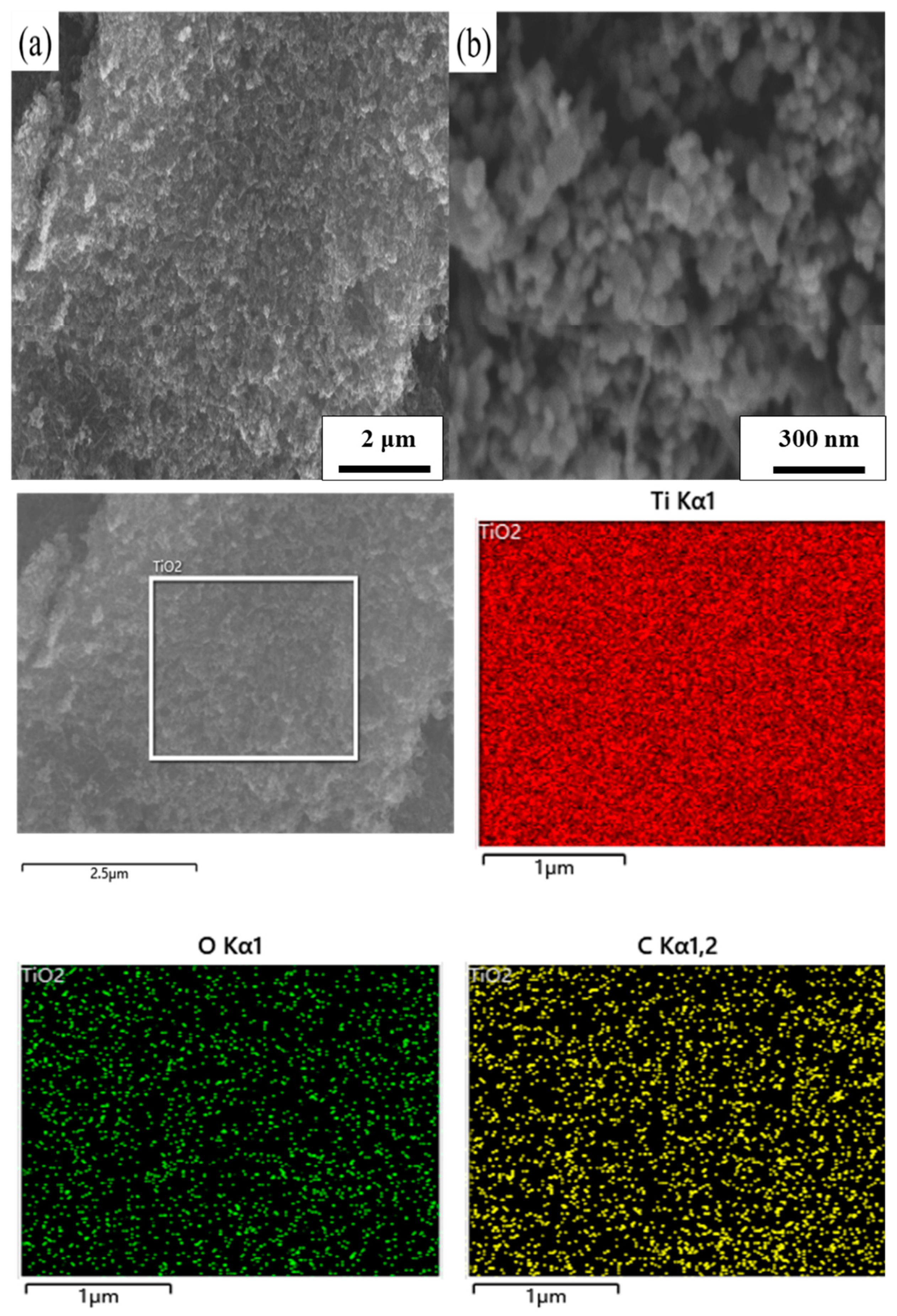 Coatings 13 00145 g002 Coatings 13 00145 g002