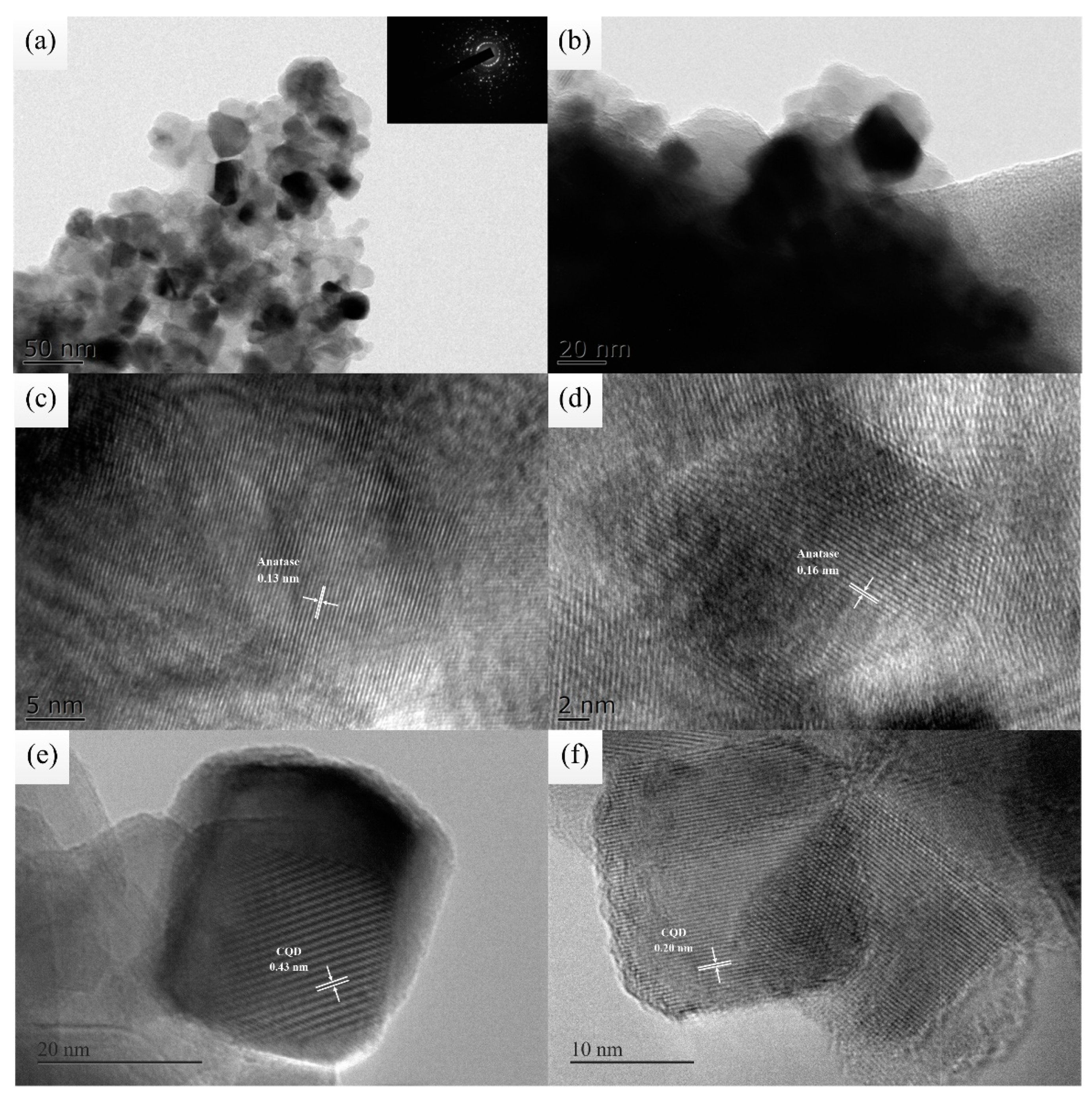 Coatings 13 00145 g003 Coatings 13 00145 g003