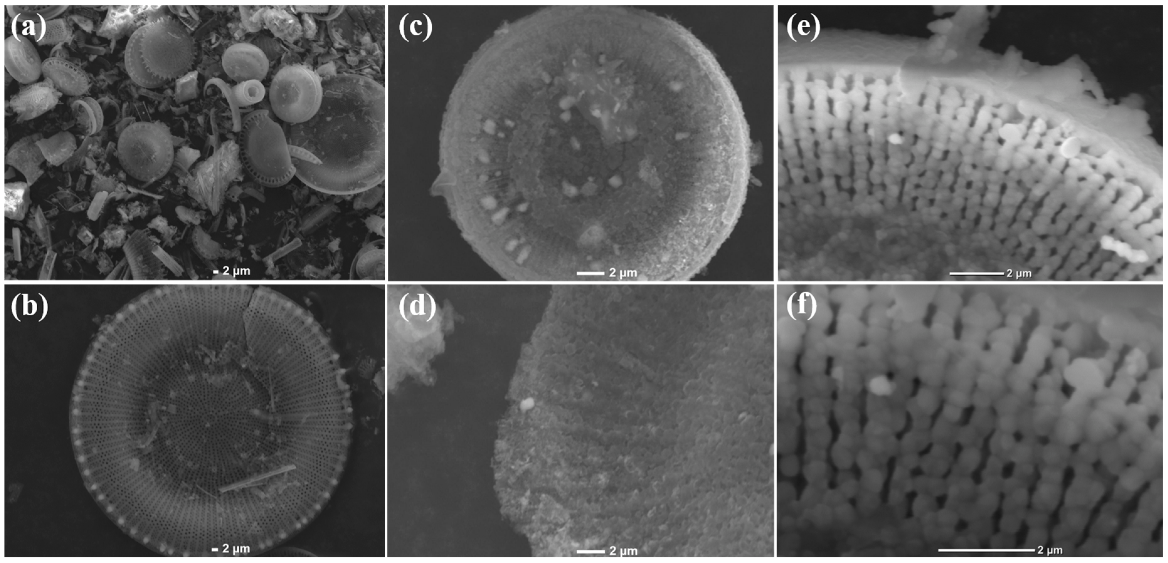 Coatings 13 00146 g002