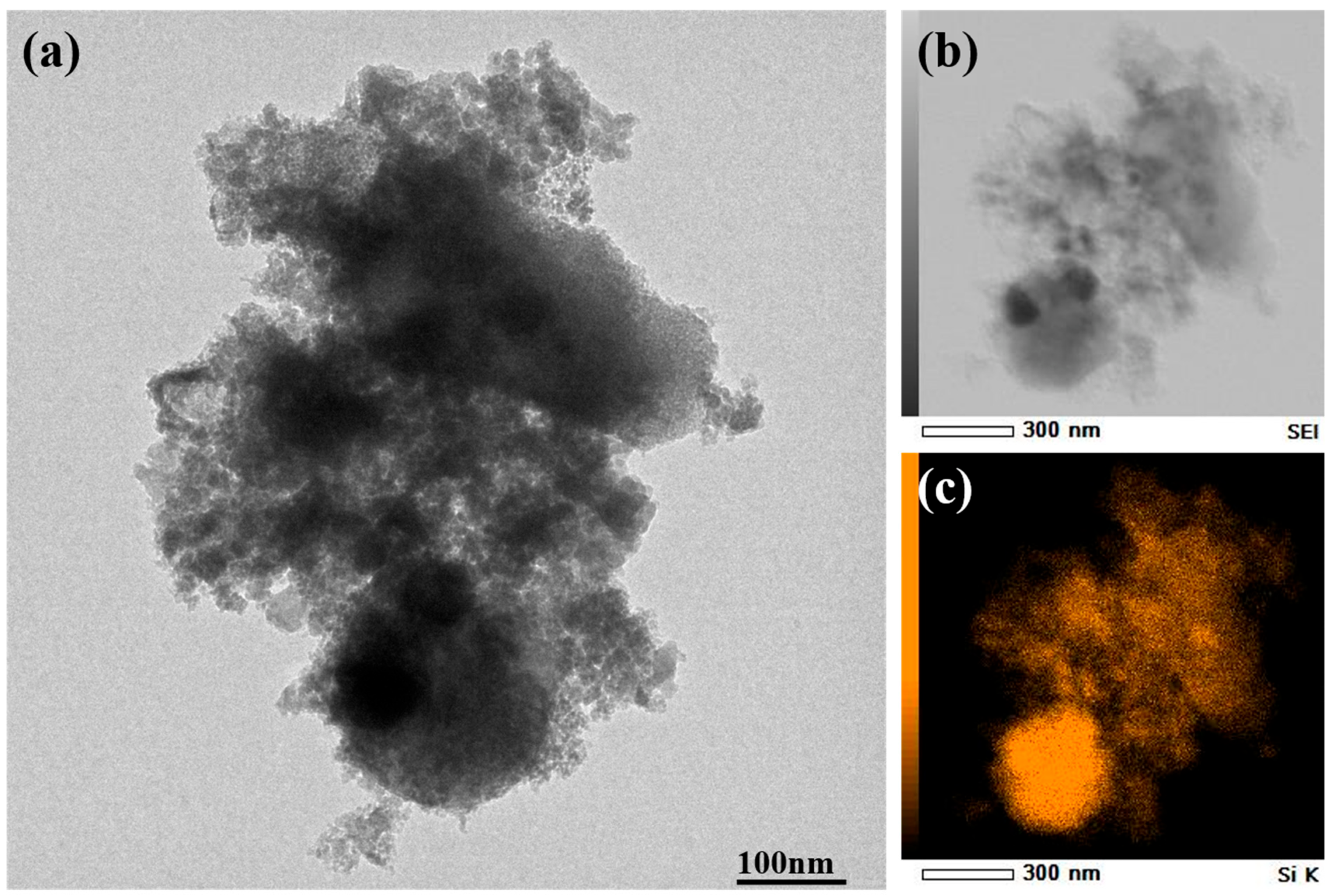 Coatings 13 00146 g004