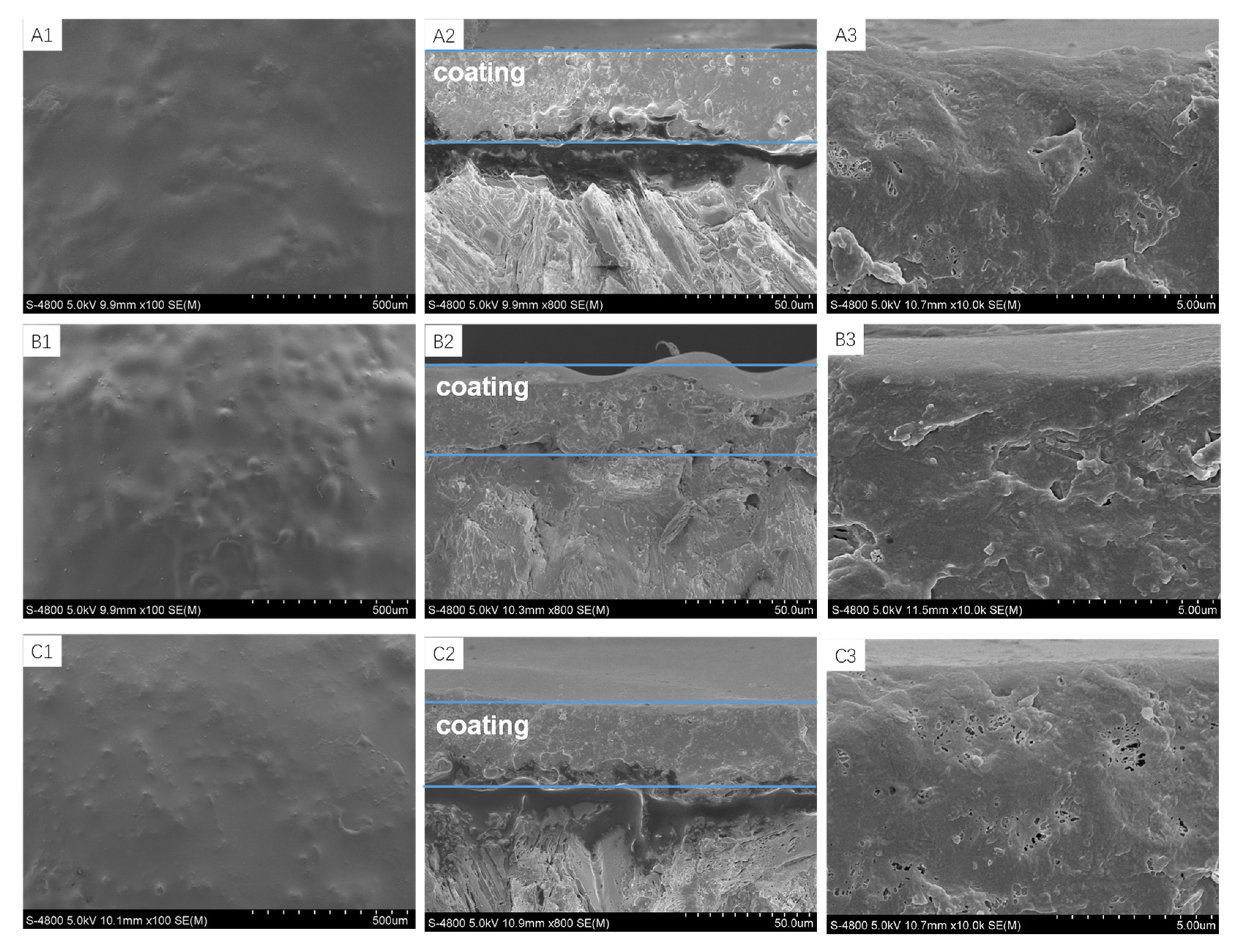 Coatings 13 00148 g009