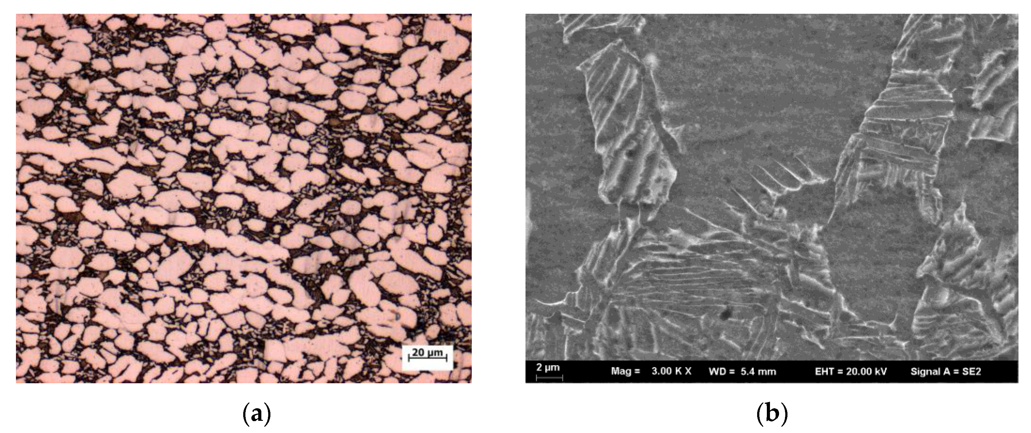 Coatings 13 00150 g003