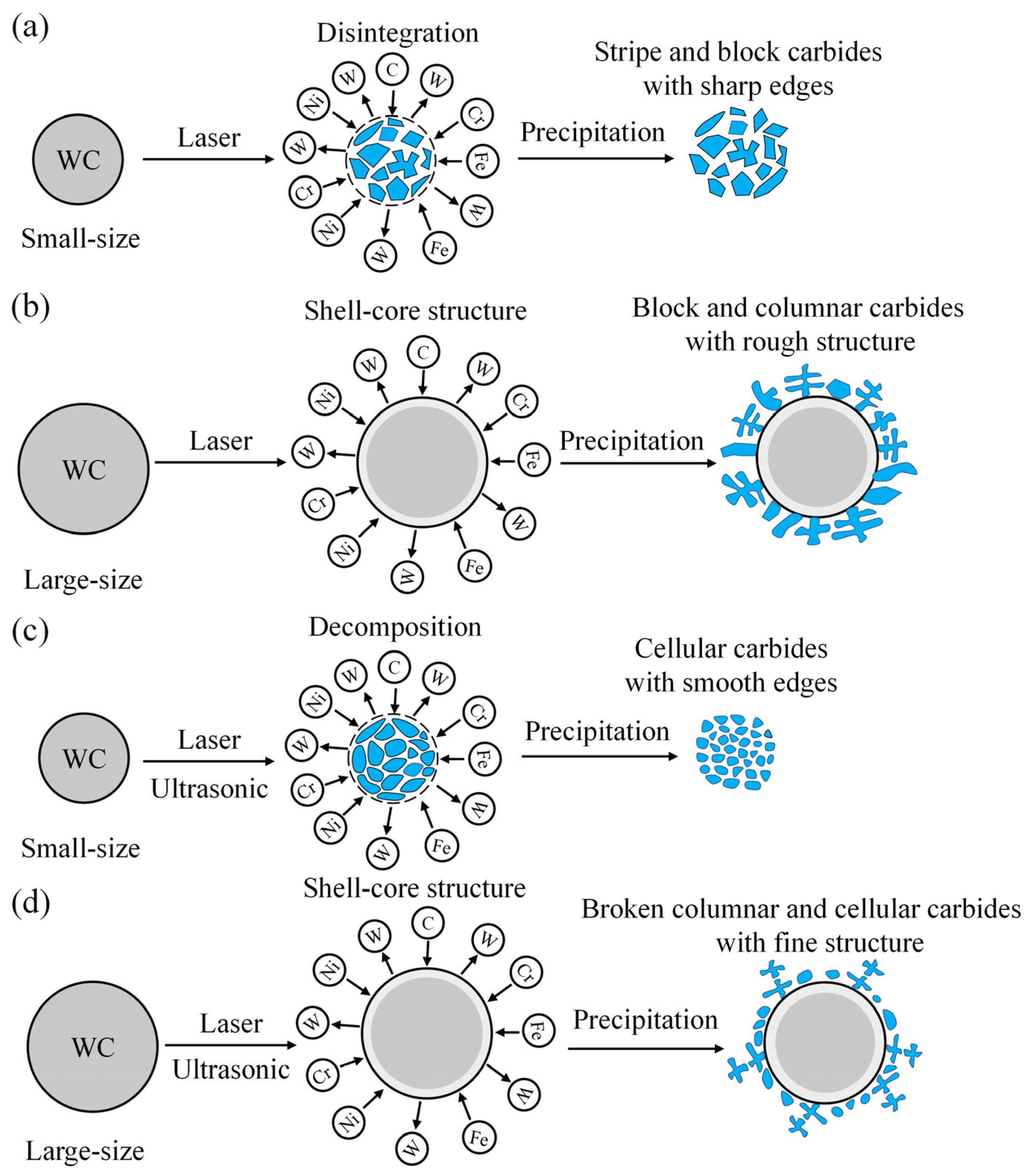 Coatings 13 00151 g017