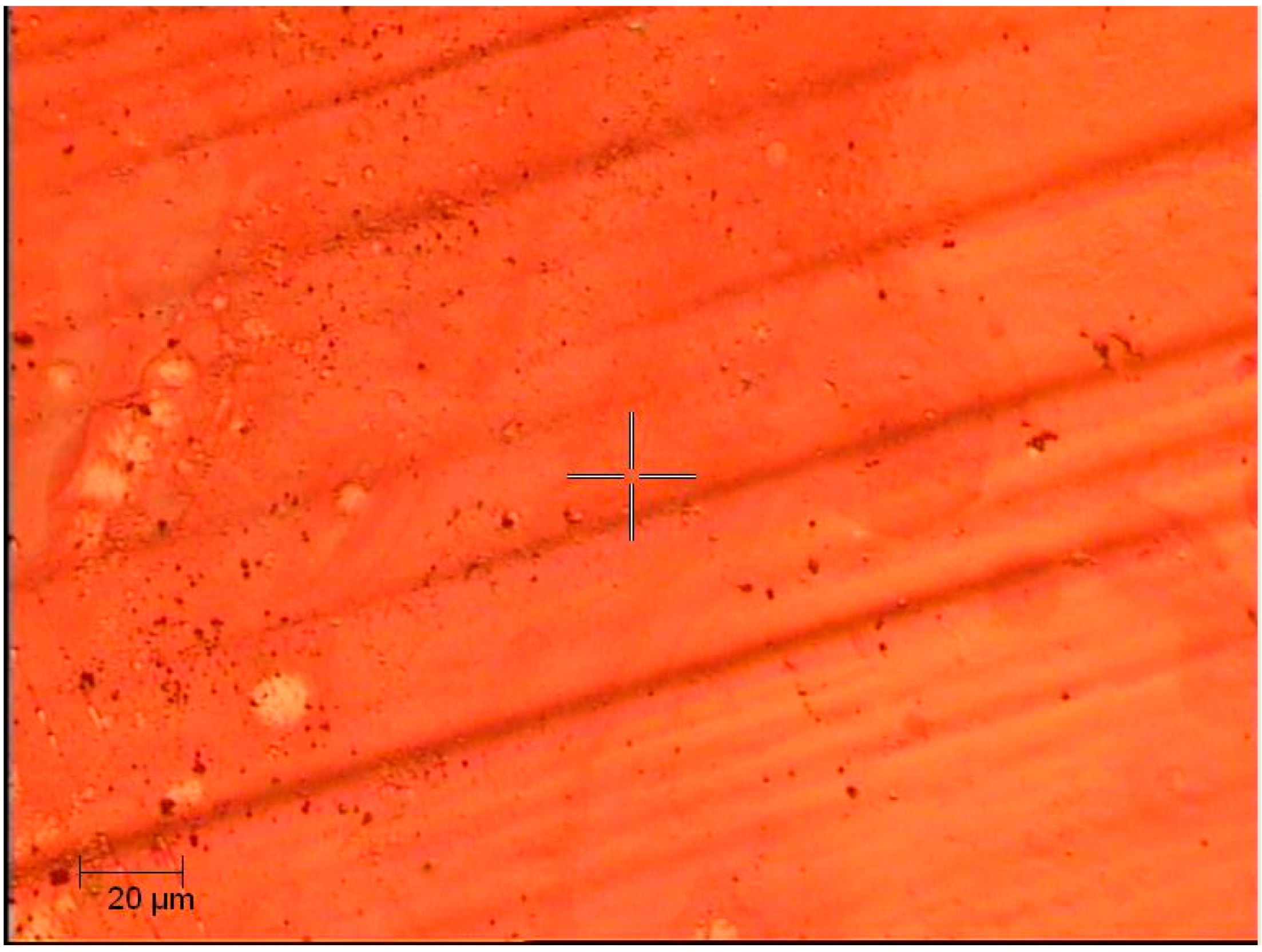 Coatings 13 00153 g004