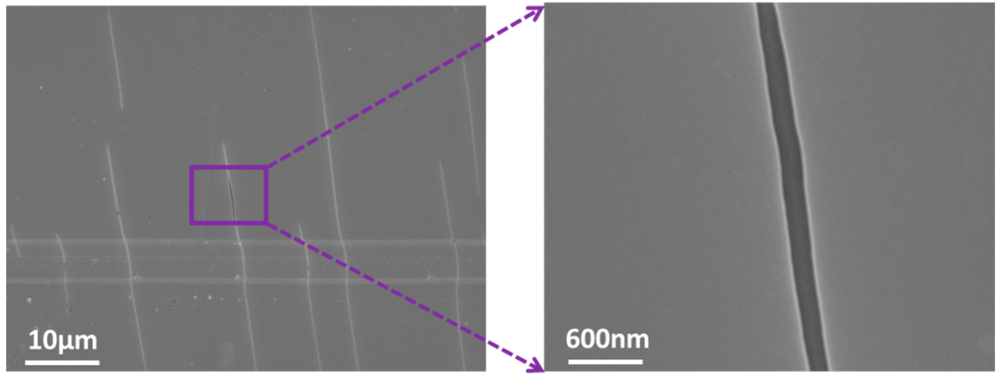 Coatings 13 00153 g007