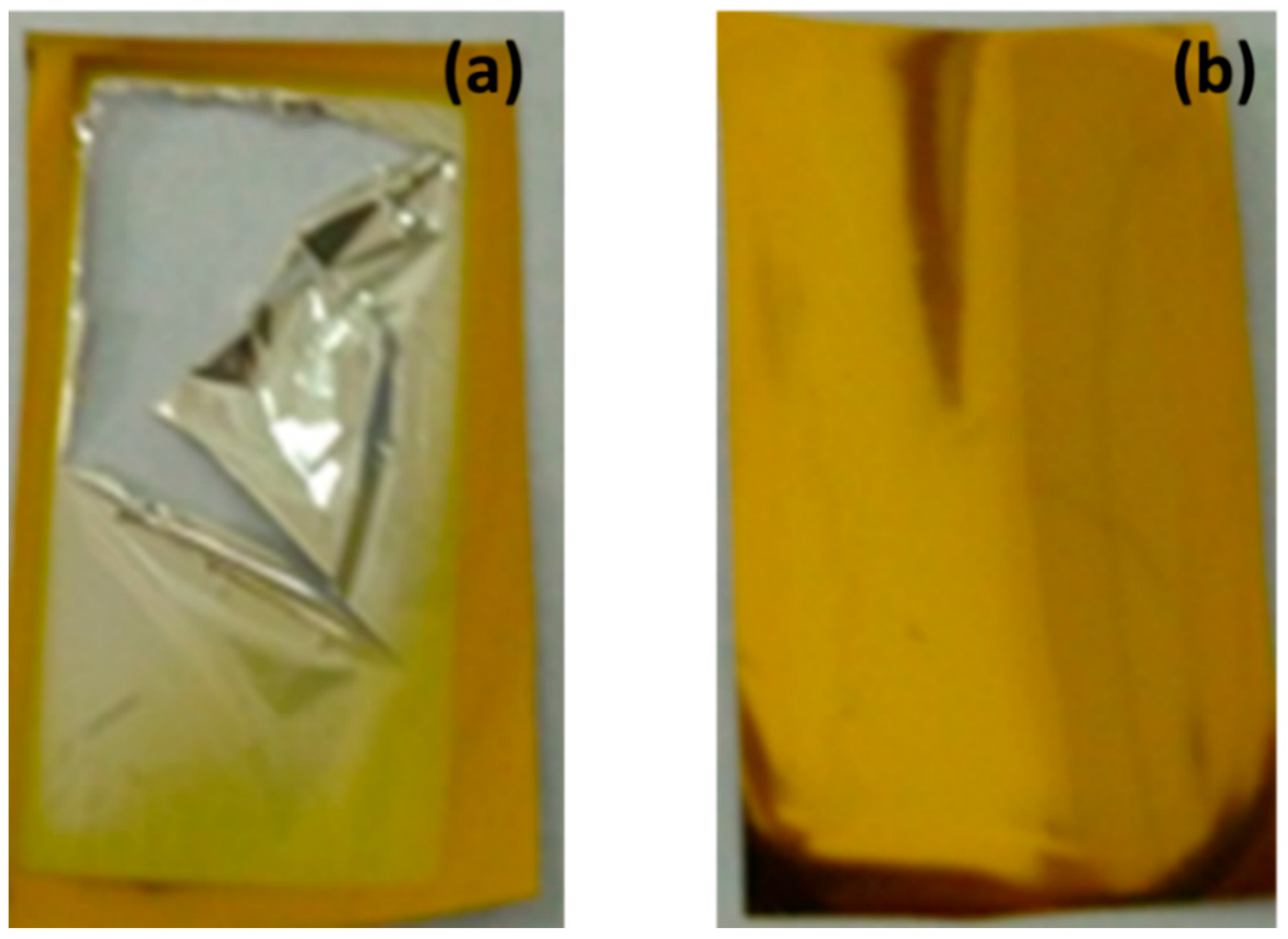 Coatings 13 00153 g008