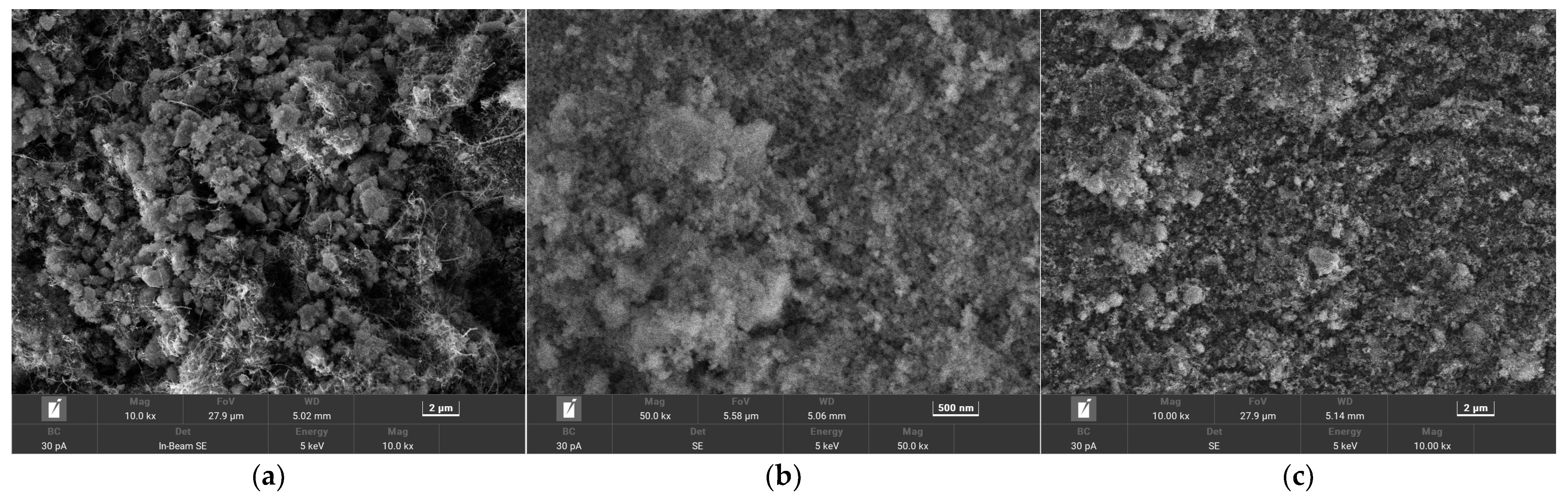 Coatings 13 00154 g001
