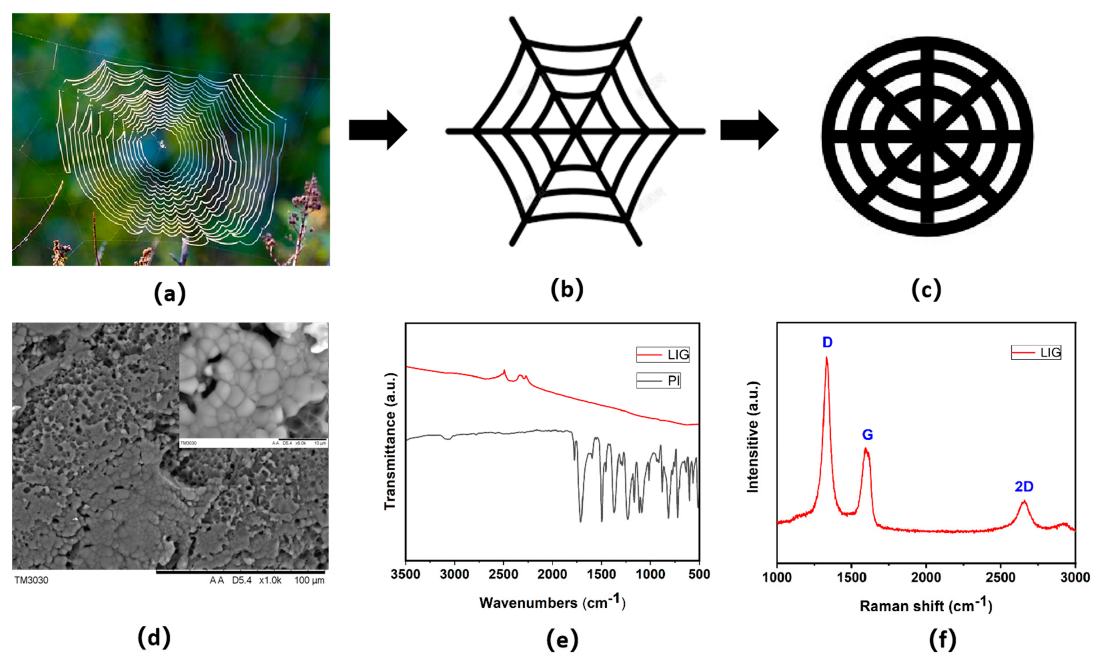 Coatings 13 00155 g001