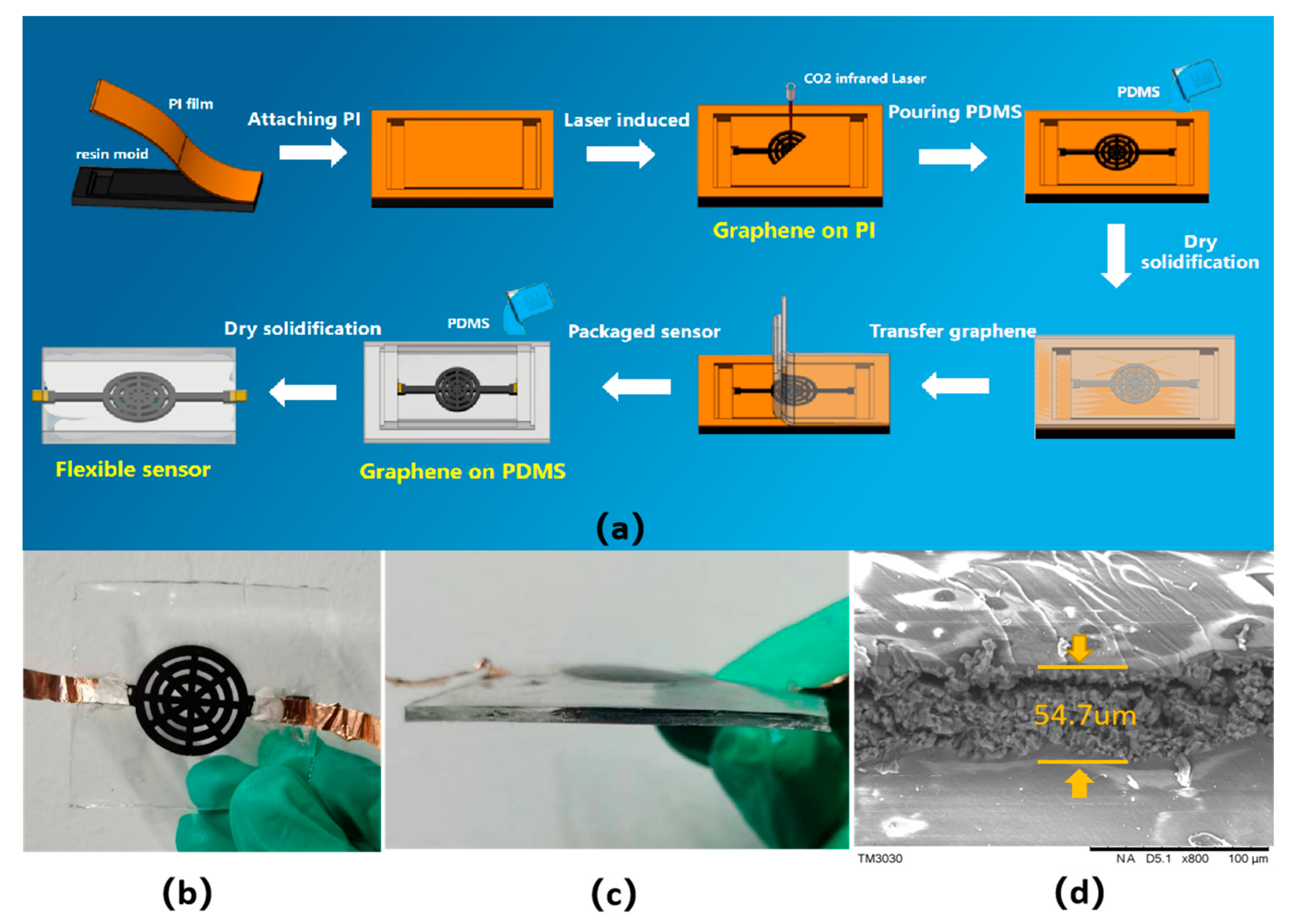 Coatings 13 00155 g002