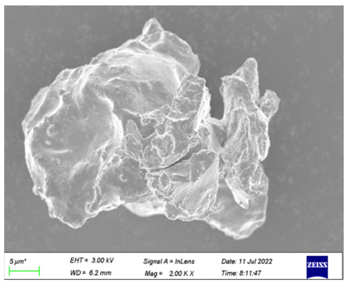 Coatings 13 00157 g002