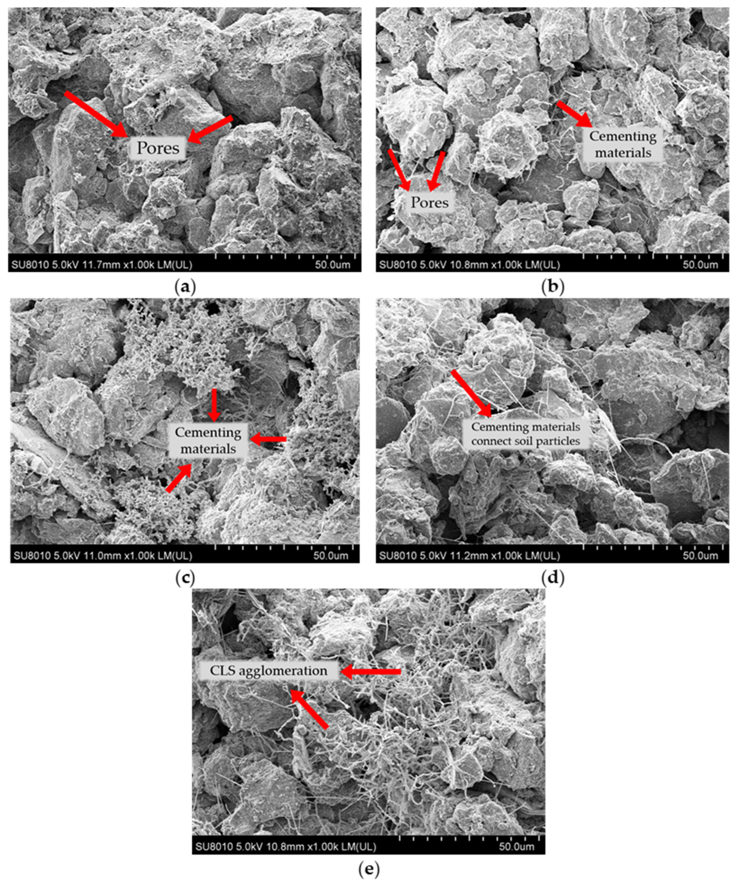 Coatings 13 00157 g012