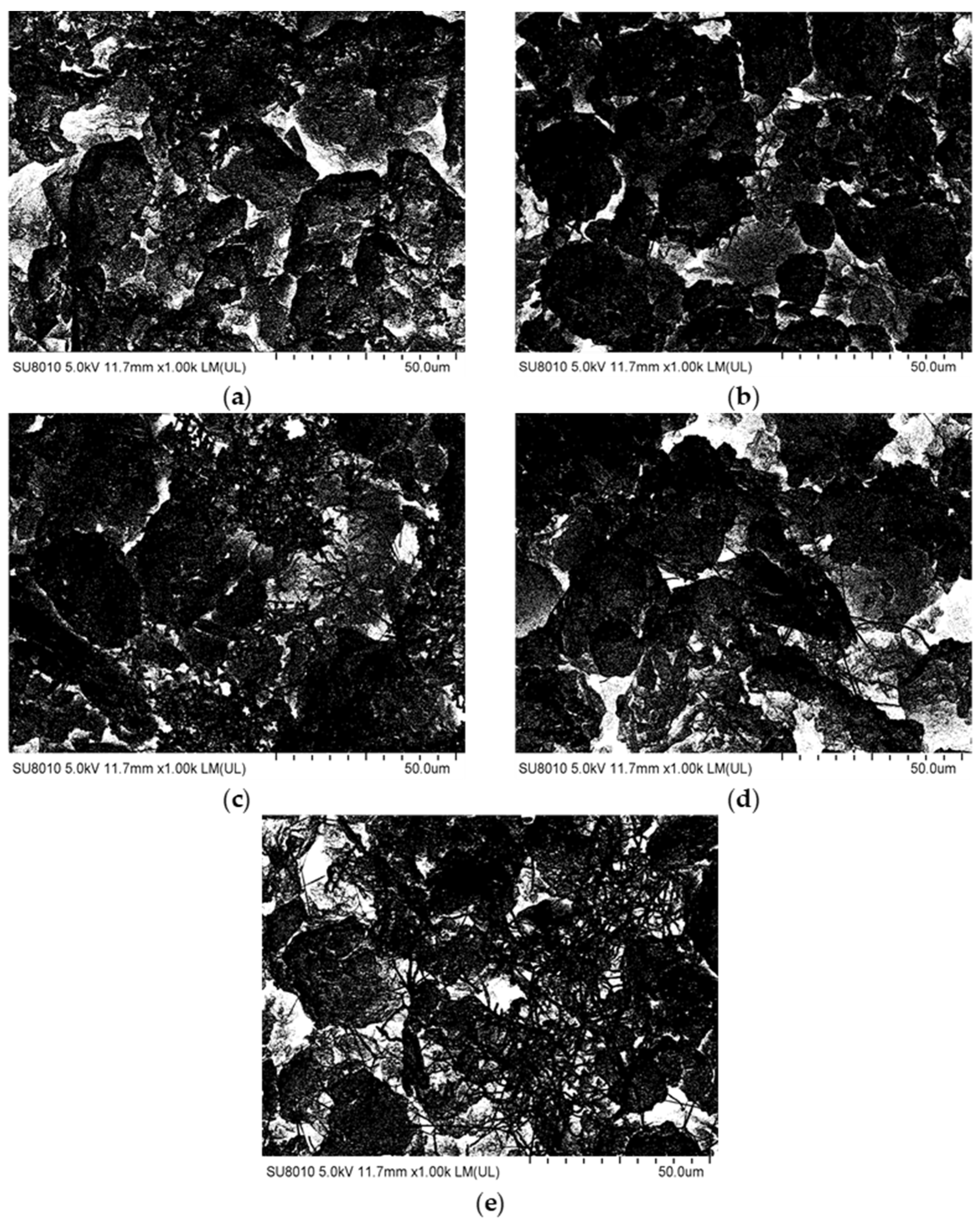 Coatings 13 00157 g013